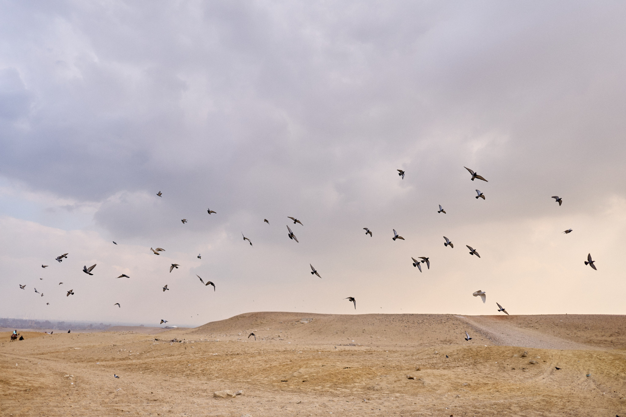 Другое 4. Jorgis — фотограф в Хургаде / обучение фотографии