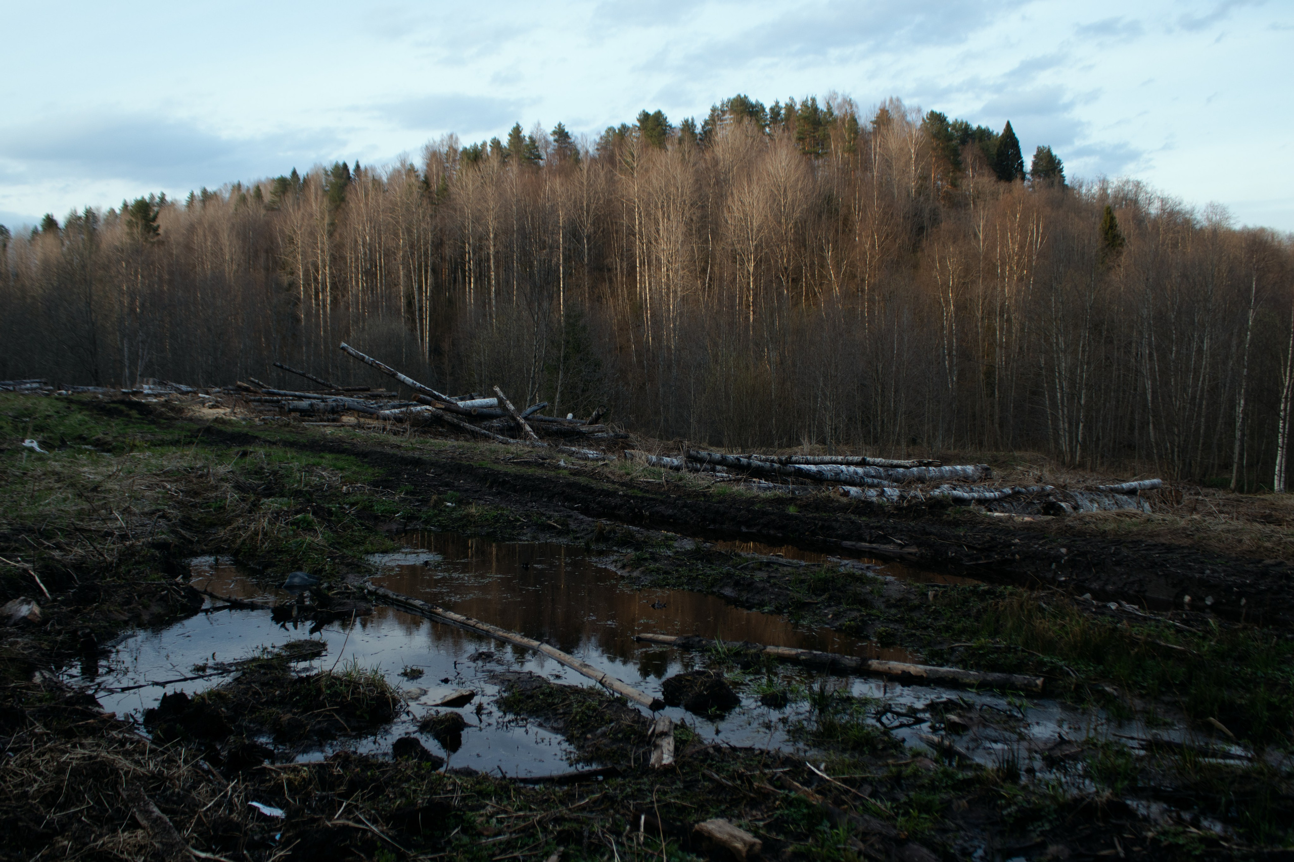 Вепсский ковчег. Полина Щапова БМК235 Медиаком — НИУ ВШЭ