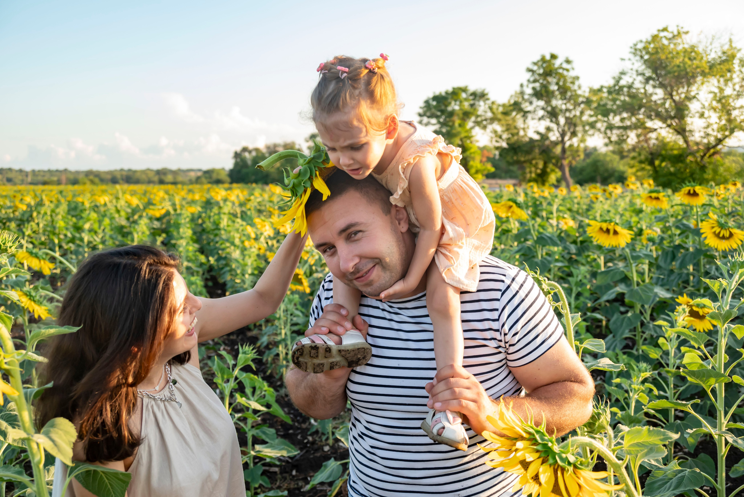 Летняя прогулка. Главная