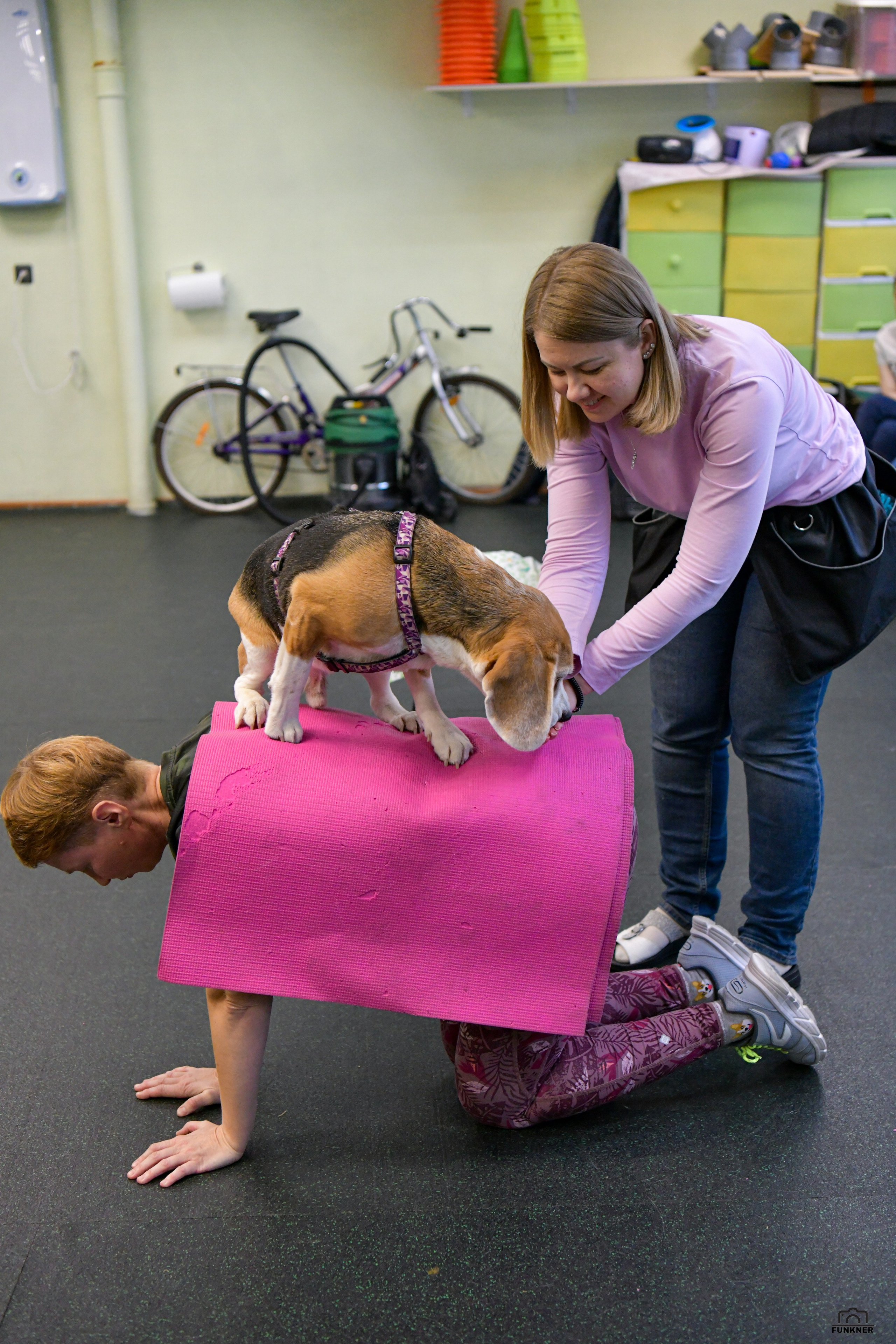 Кинологический клуб «Бодрый хвост». Свой взгляд через объектив