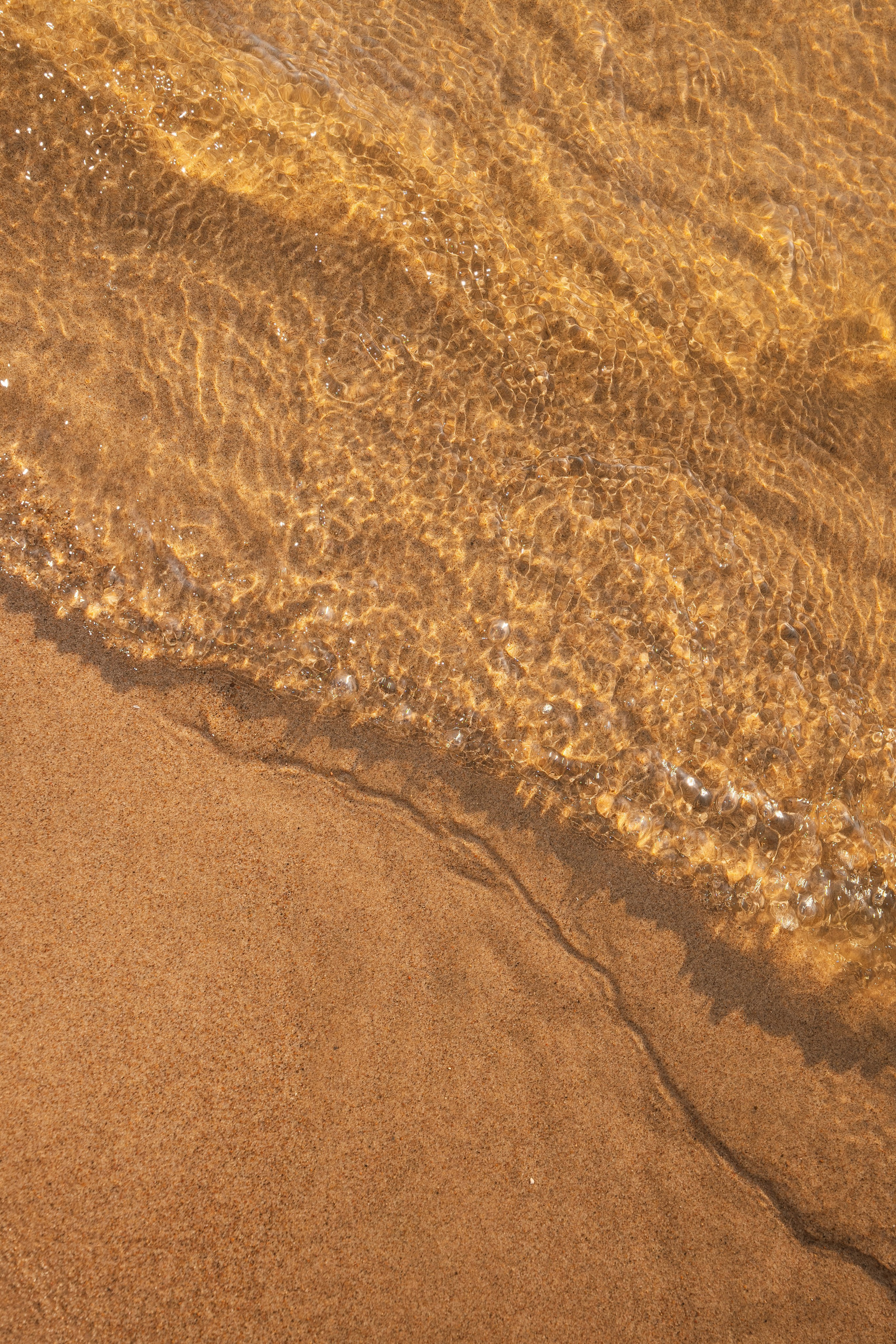 Светлана и Никита