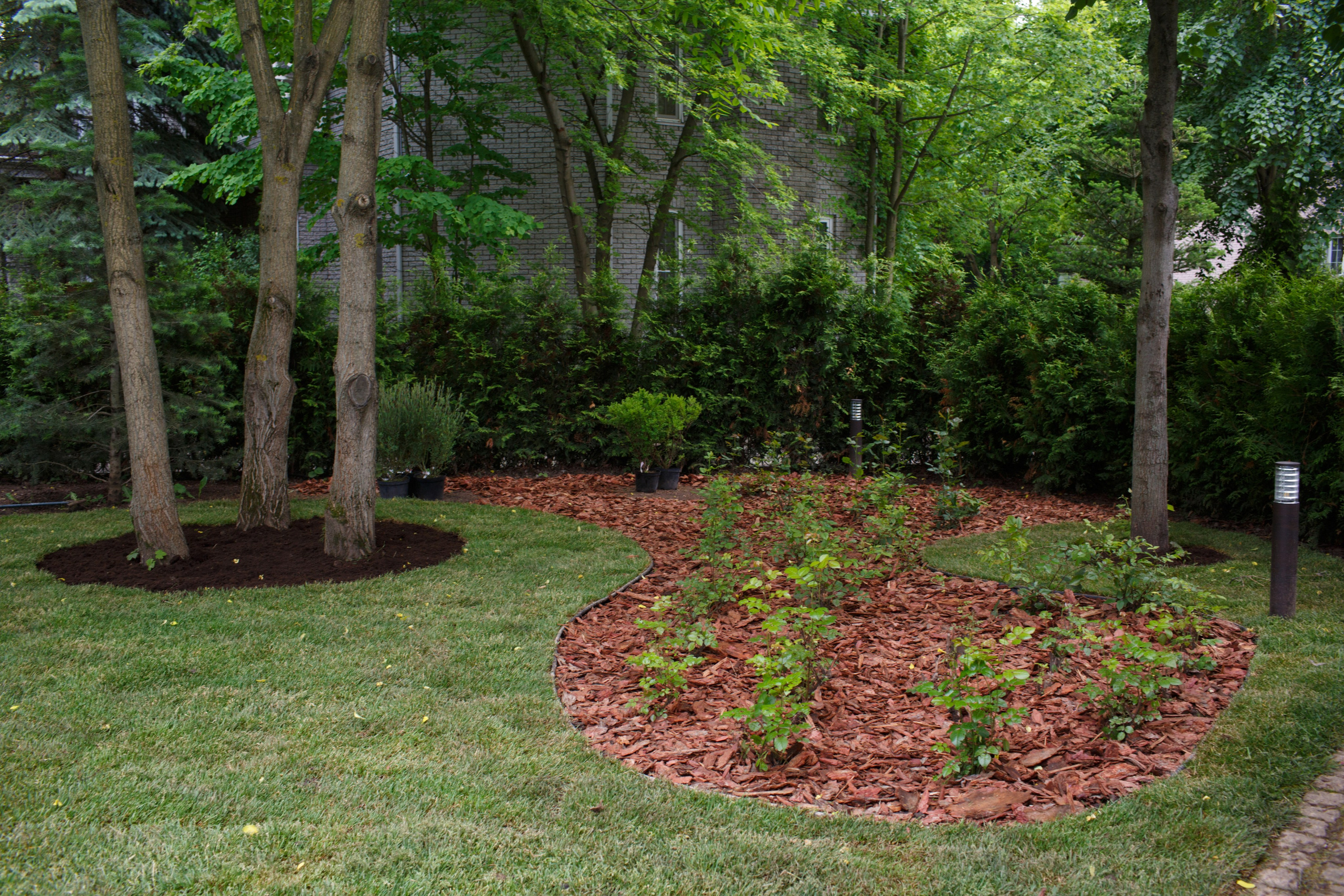 Ландшафтный дизайн. Фотограф Наталья Молчанова