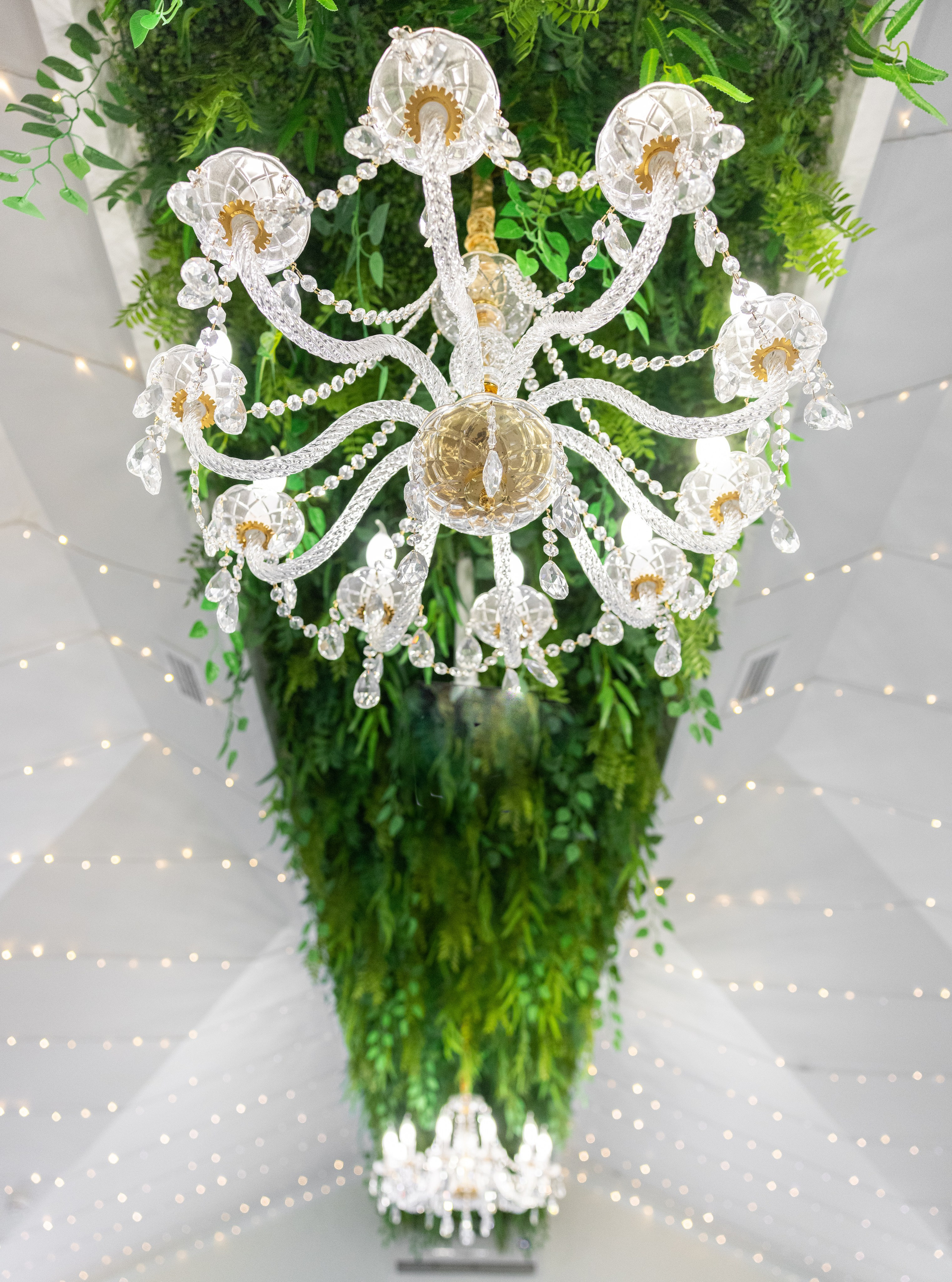 Елизавета и Александр. Свадебный фотограф Иван Петров