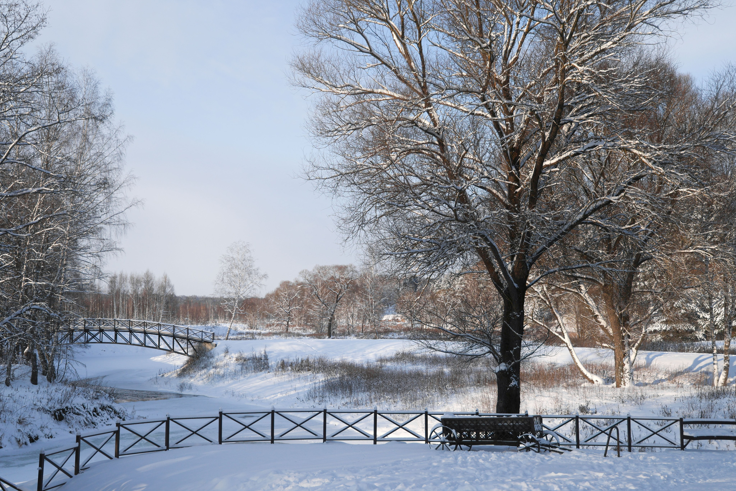 Рождествено Зима 2026. Фотограф Максим Татаринов