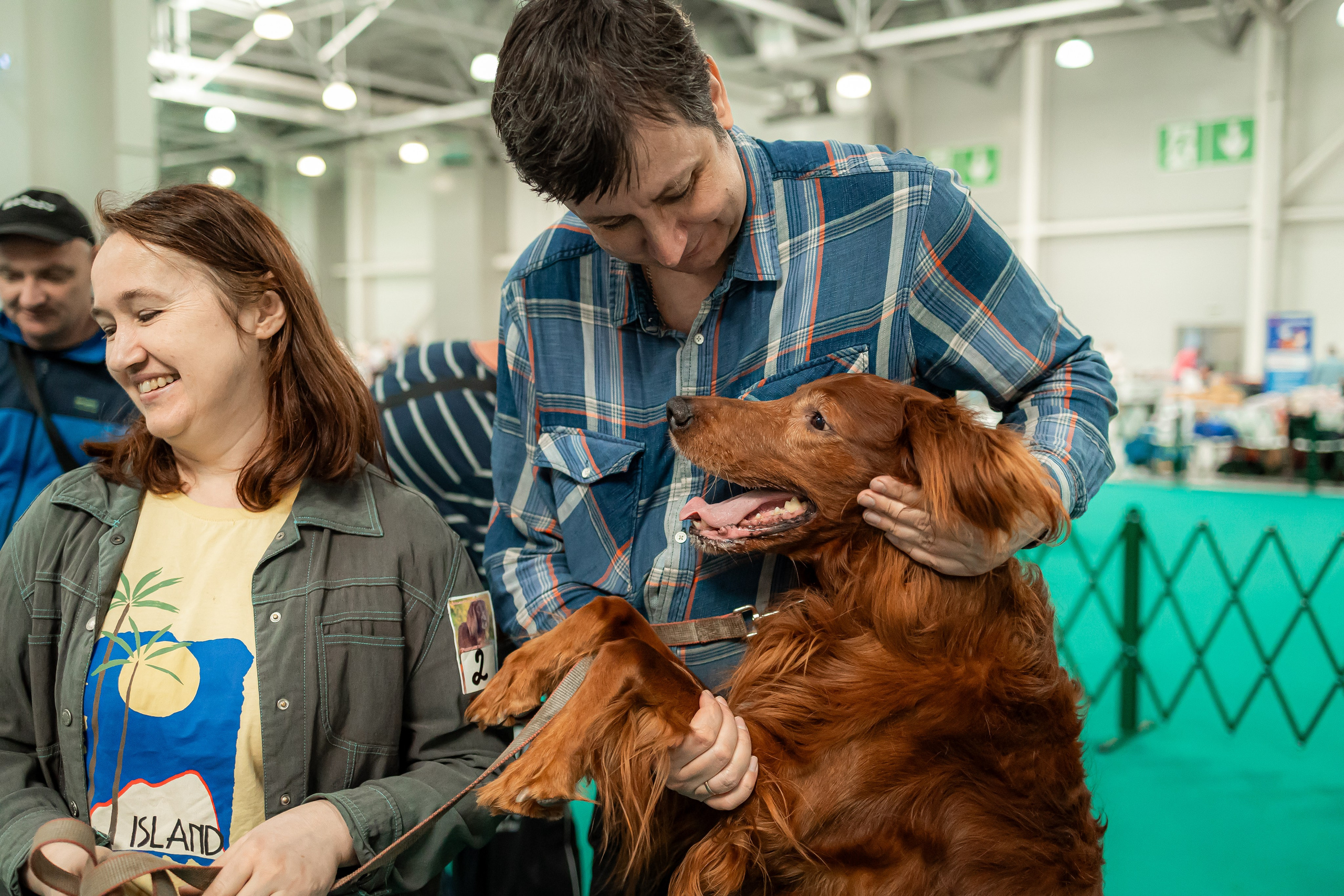 Выставка сеттеров 19.05.24