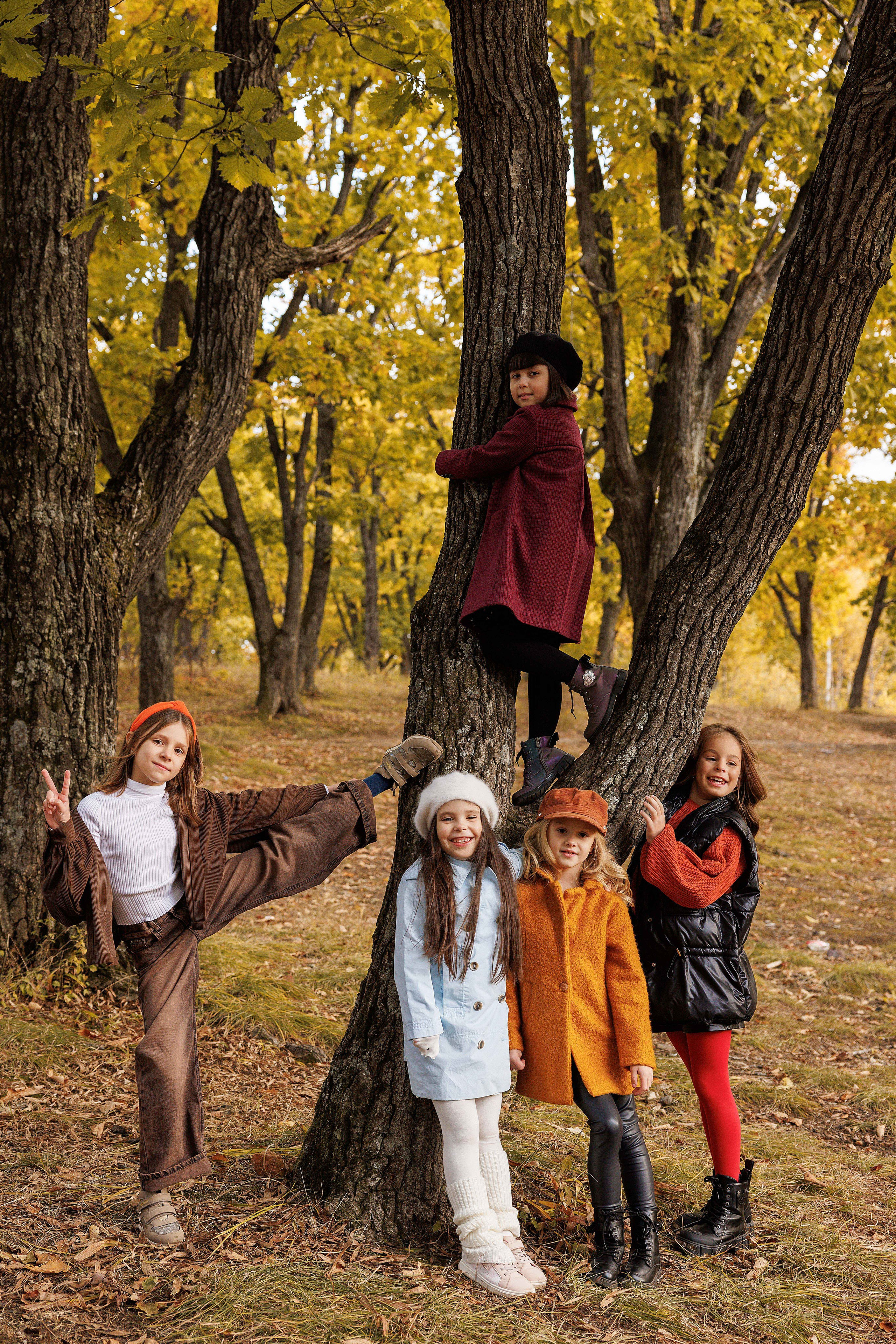 Осень Гимназия Артем. Photoalbum-vl.ru