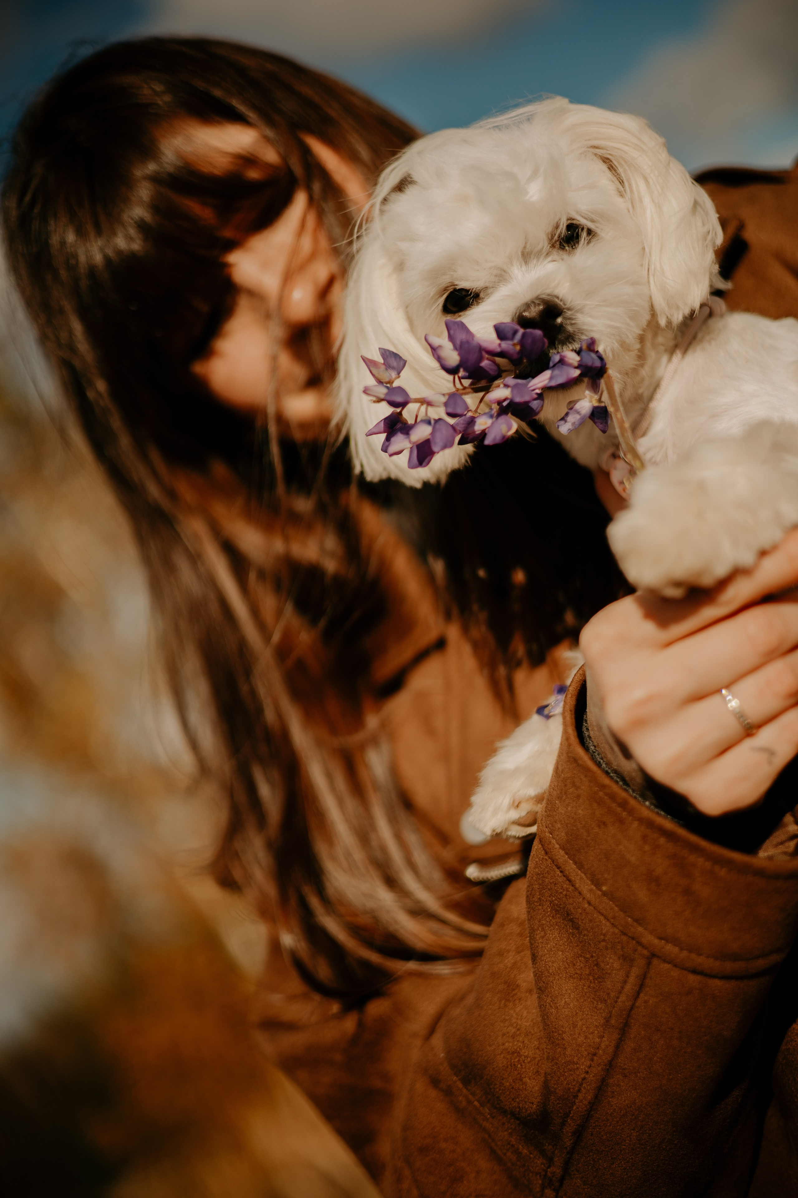 Любовь и Белла. Фотограф — анималист •love-story•|Санкт-Петербург
