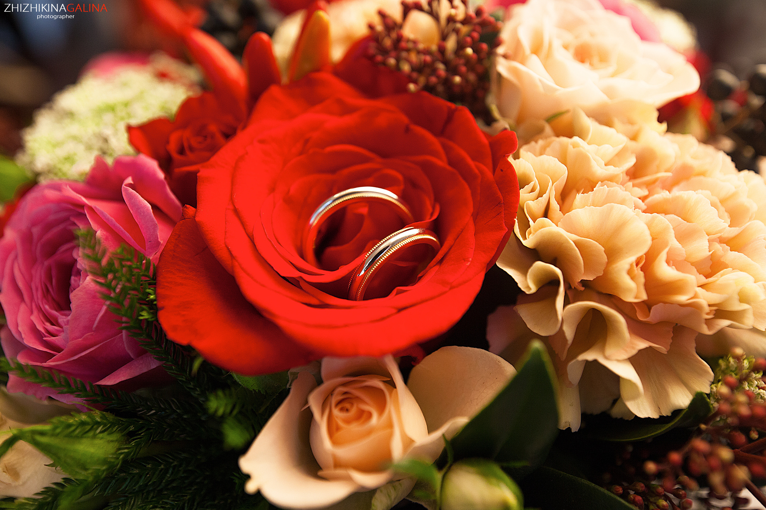 свадебный фотограф, фотограф на свадьбу, свадебная фотосессия, фотограф, фотограф москва, ищу фотографа, фотограф для молодоженов, свадьба