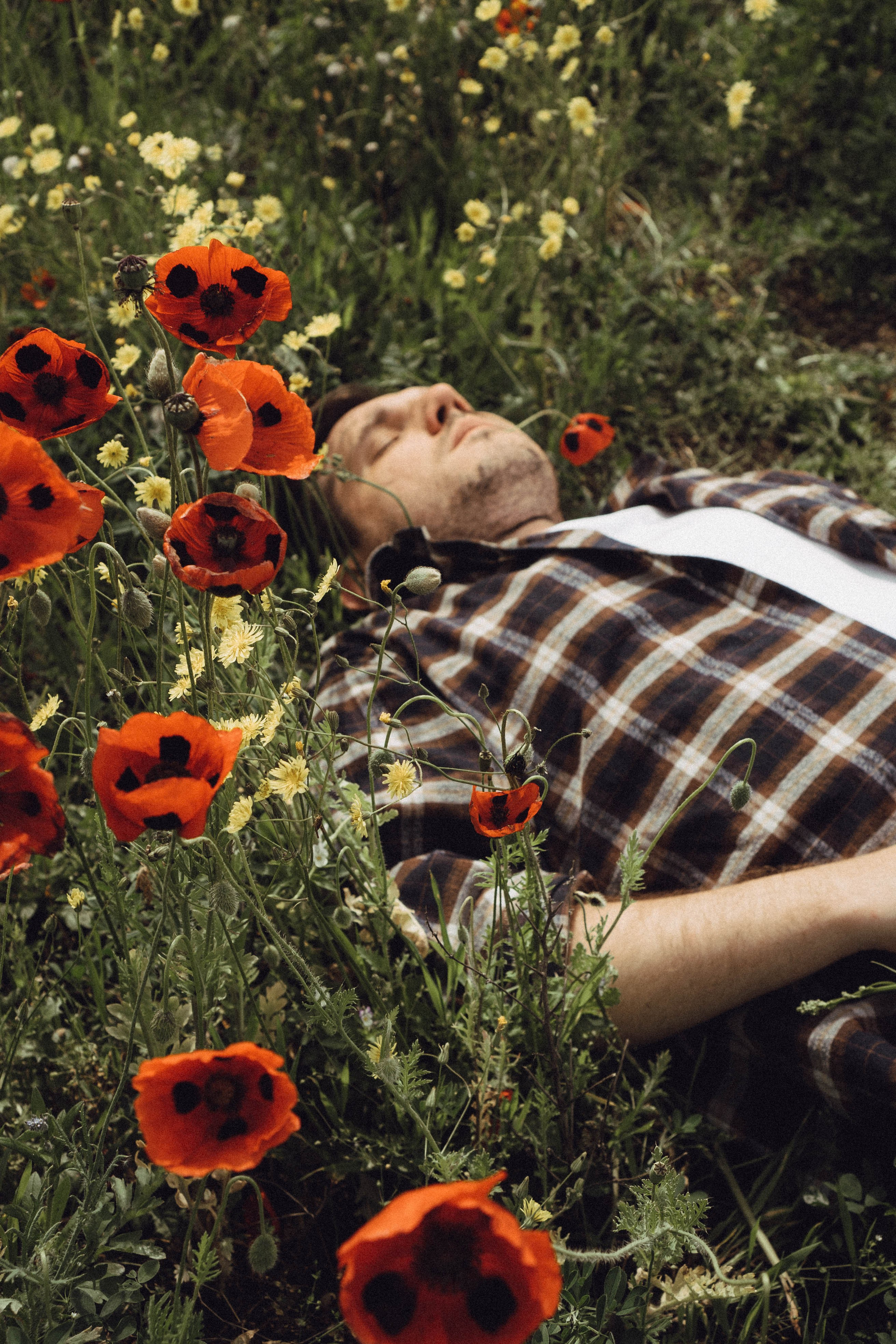 Маки. Профессиональный фотограф, Санкт-Петербург — Виктория Богомолова