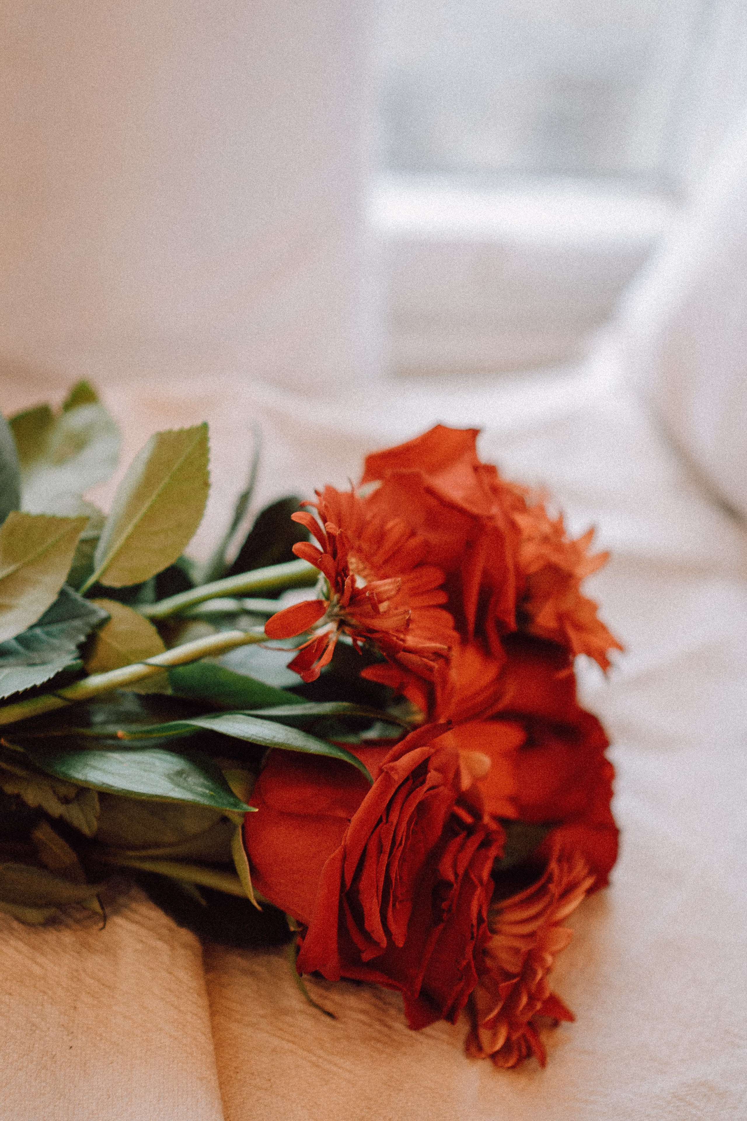 Новогодний стиль вдвоем. Профессиональный фотограф, Санкт-Петербург — Виктория Богомолова