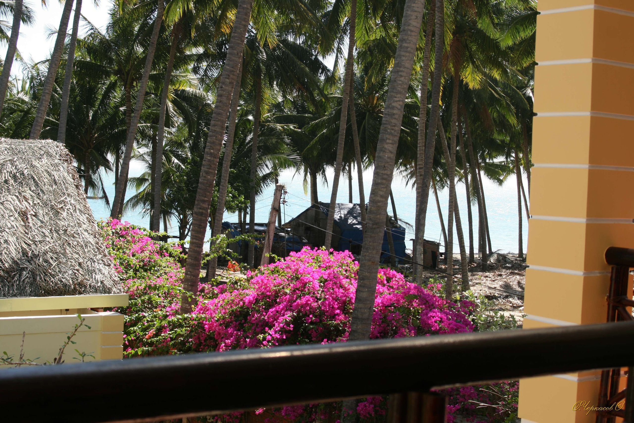 Вьетнам 2008 г. Улица, люди, жизнь…