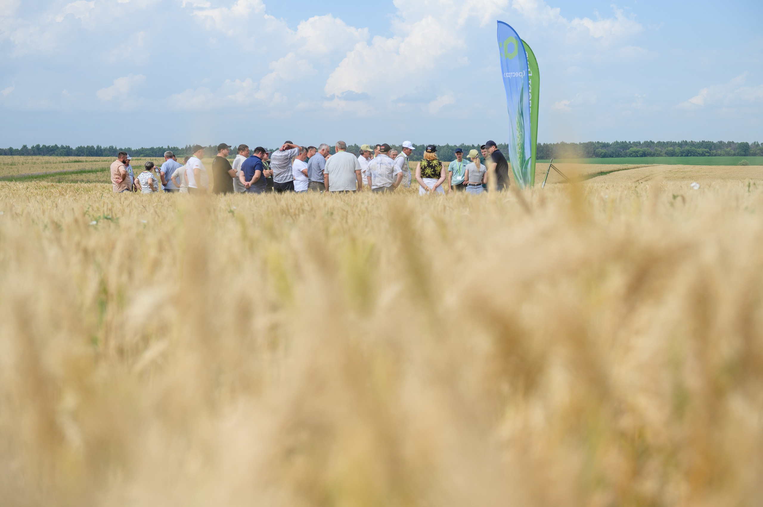 Проекты. Профессиональный фотограф Вячеслав Плацында | Липецк |