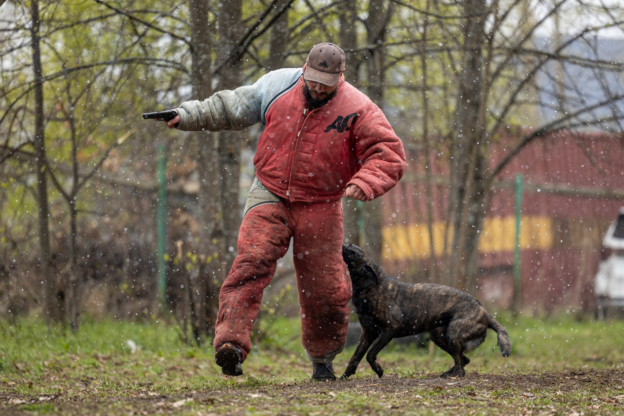 Квалификационные состязания по мондьорингу г. Вологда 11.05.24. Фотограф-анималист Анна Маринич