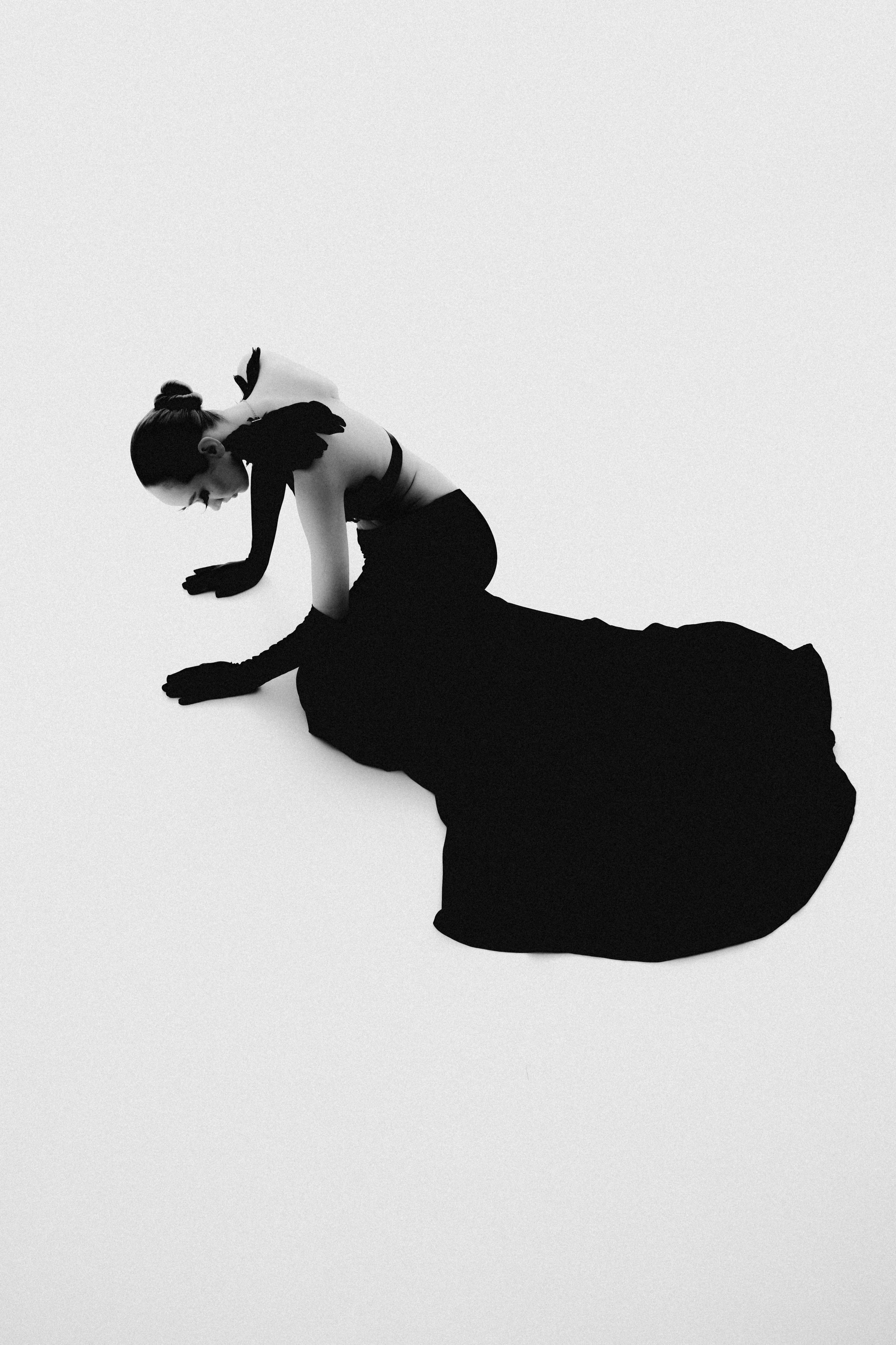 Черный лебедь. Фотограф Санкт-Петербург Лиза Артти