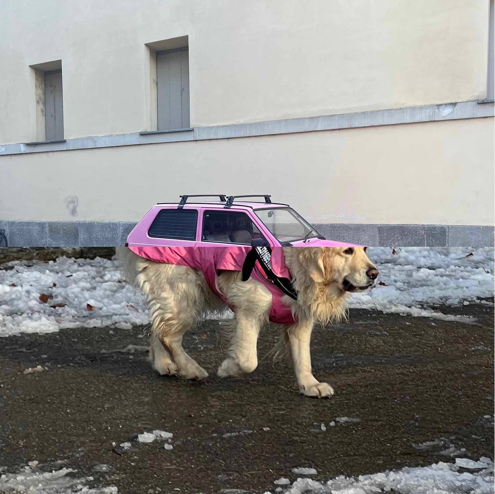 Когда любишь стрит, но хочется что-то новое. Репортажный фотограф в Сочи — Михаил Мордасов