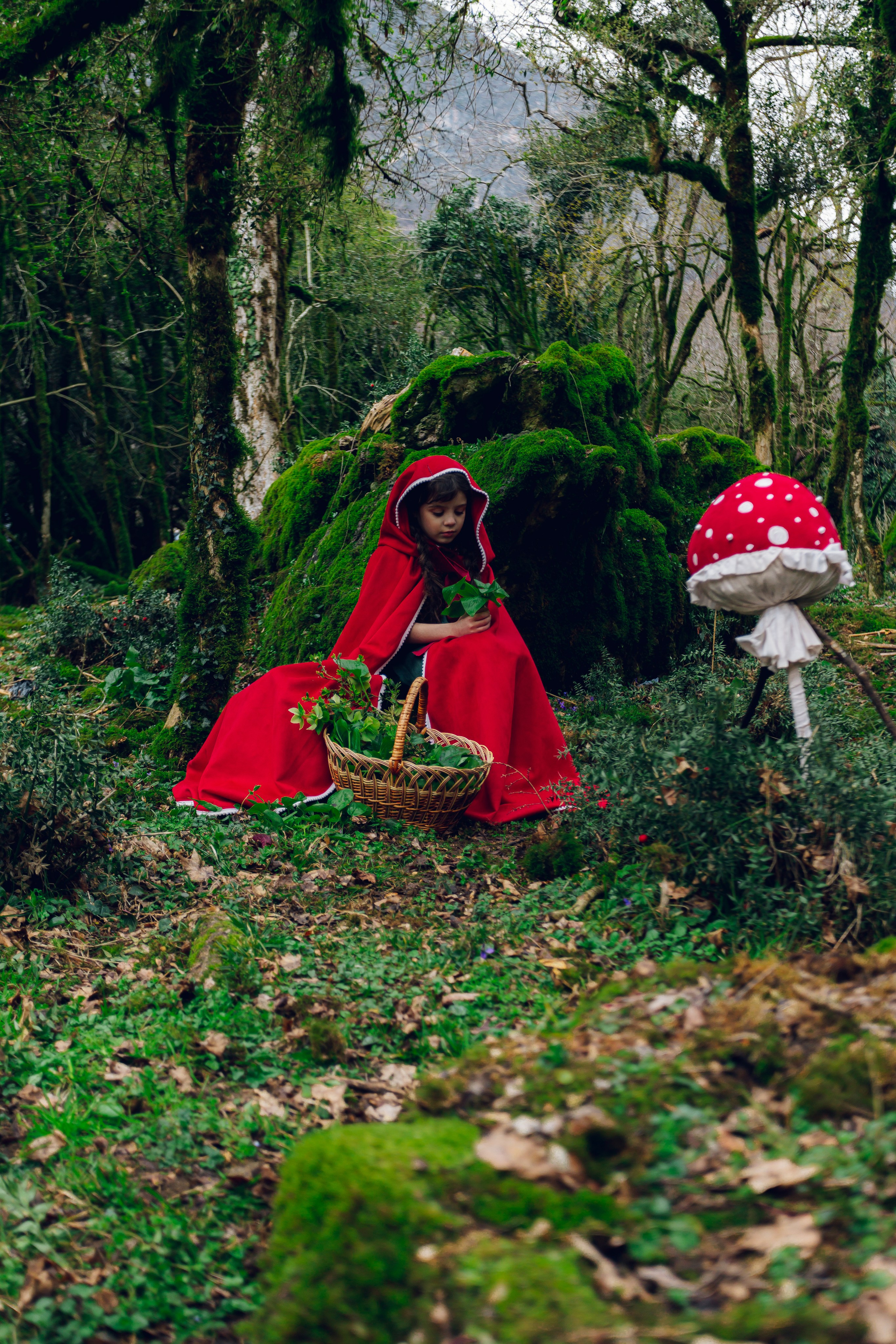 Самшитовая роща. Семейный и художественный фотограф в Тюмени Юлия Логинова