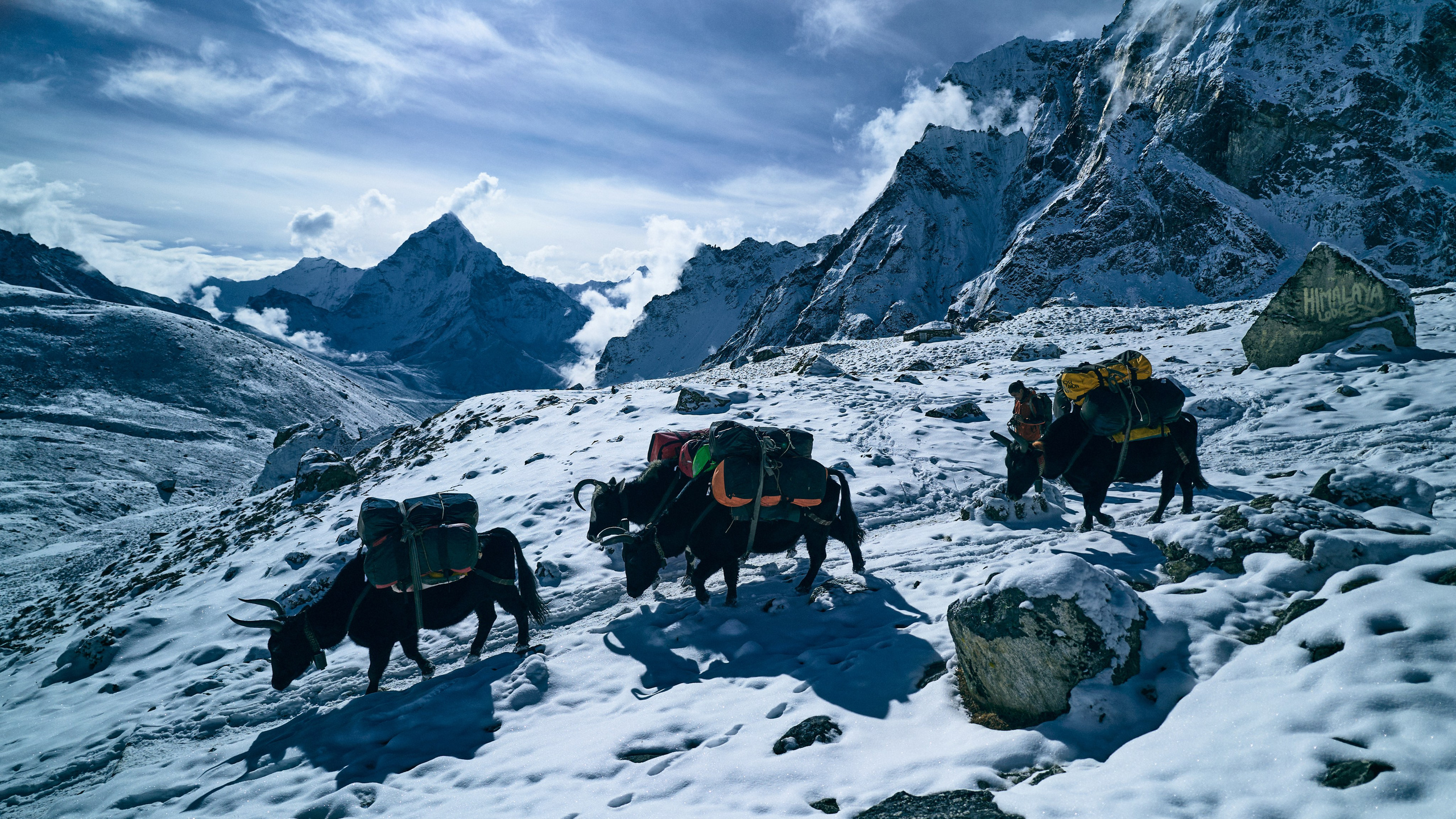 Непал. Фото