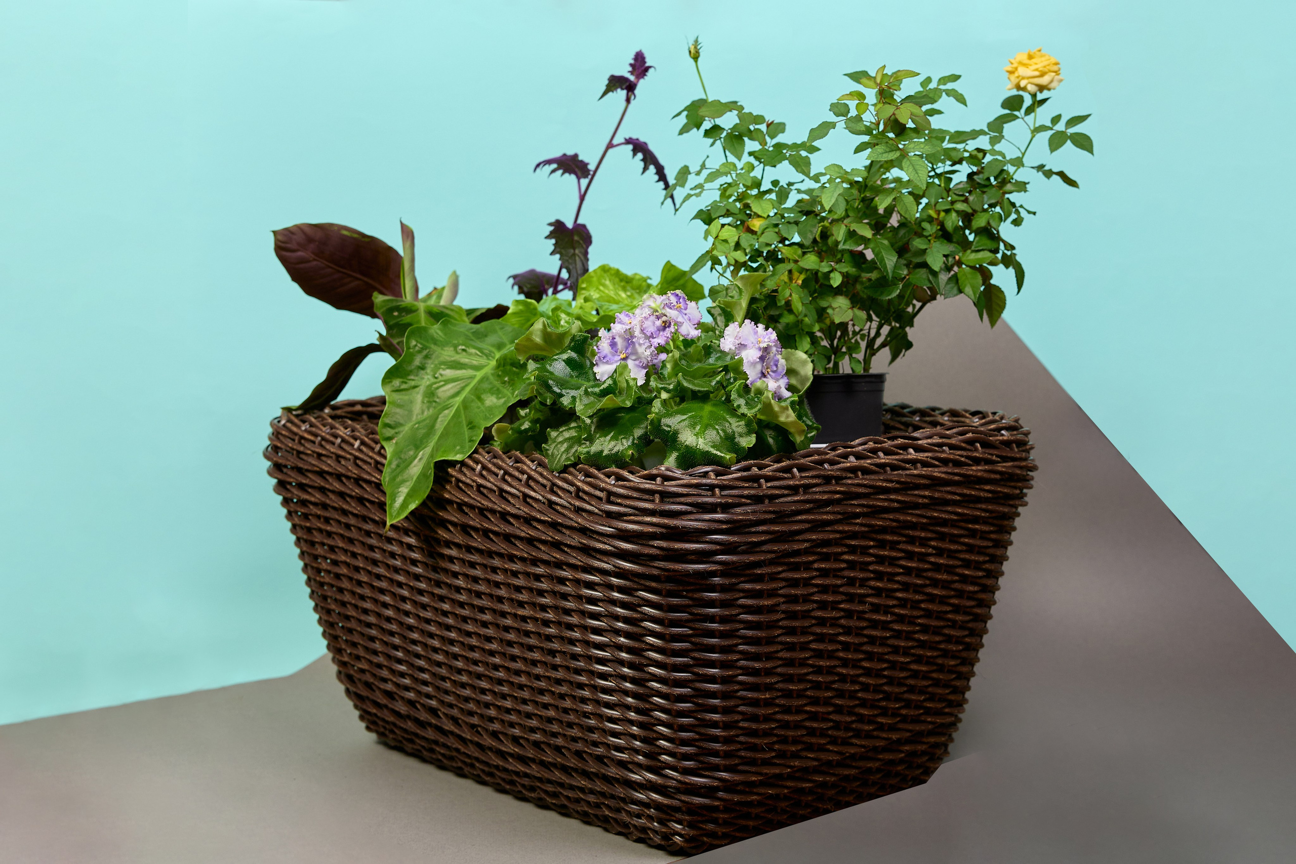 Фотосъёмка для маркетплейсов. Предметный и репортажный фотограф Алексей Кротов