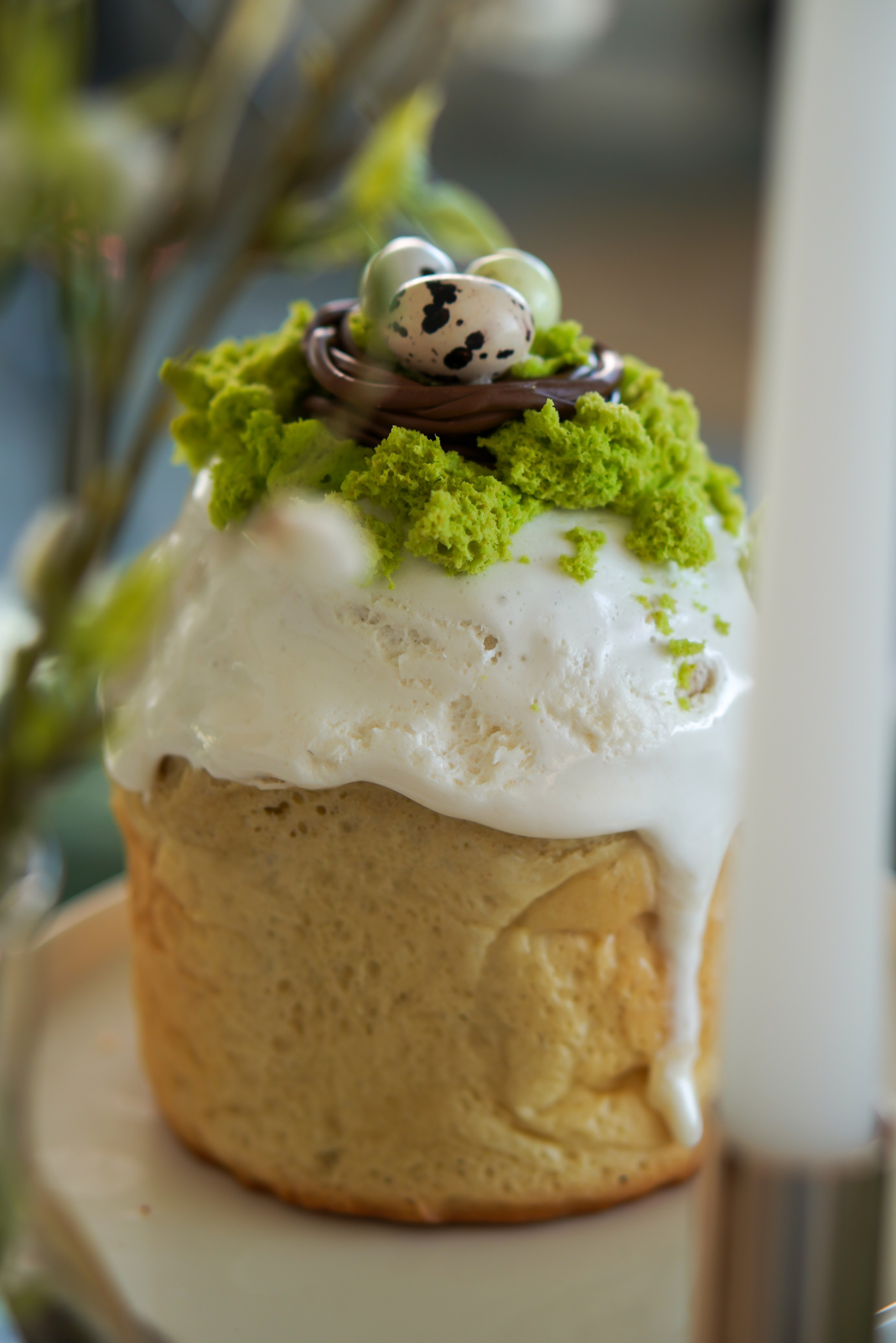 Зал Life фотостудия Импульс. Фотостудия в Саратове. Фотограф в Саратове