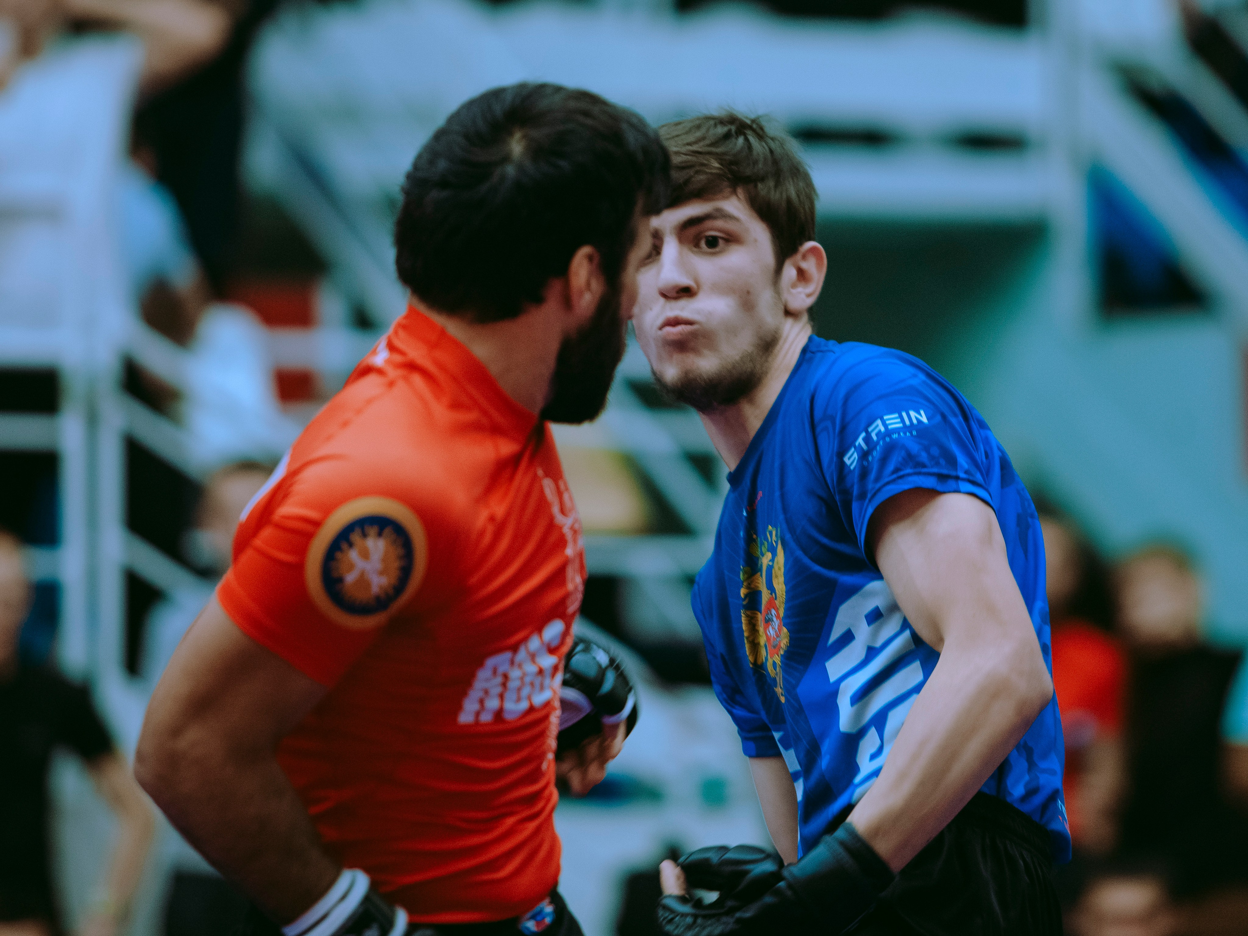 Кубок России по спортивной борьбе панкратион `23. Портретный фотограф в Москве Дарья Цезария