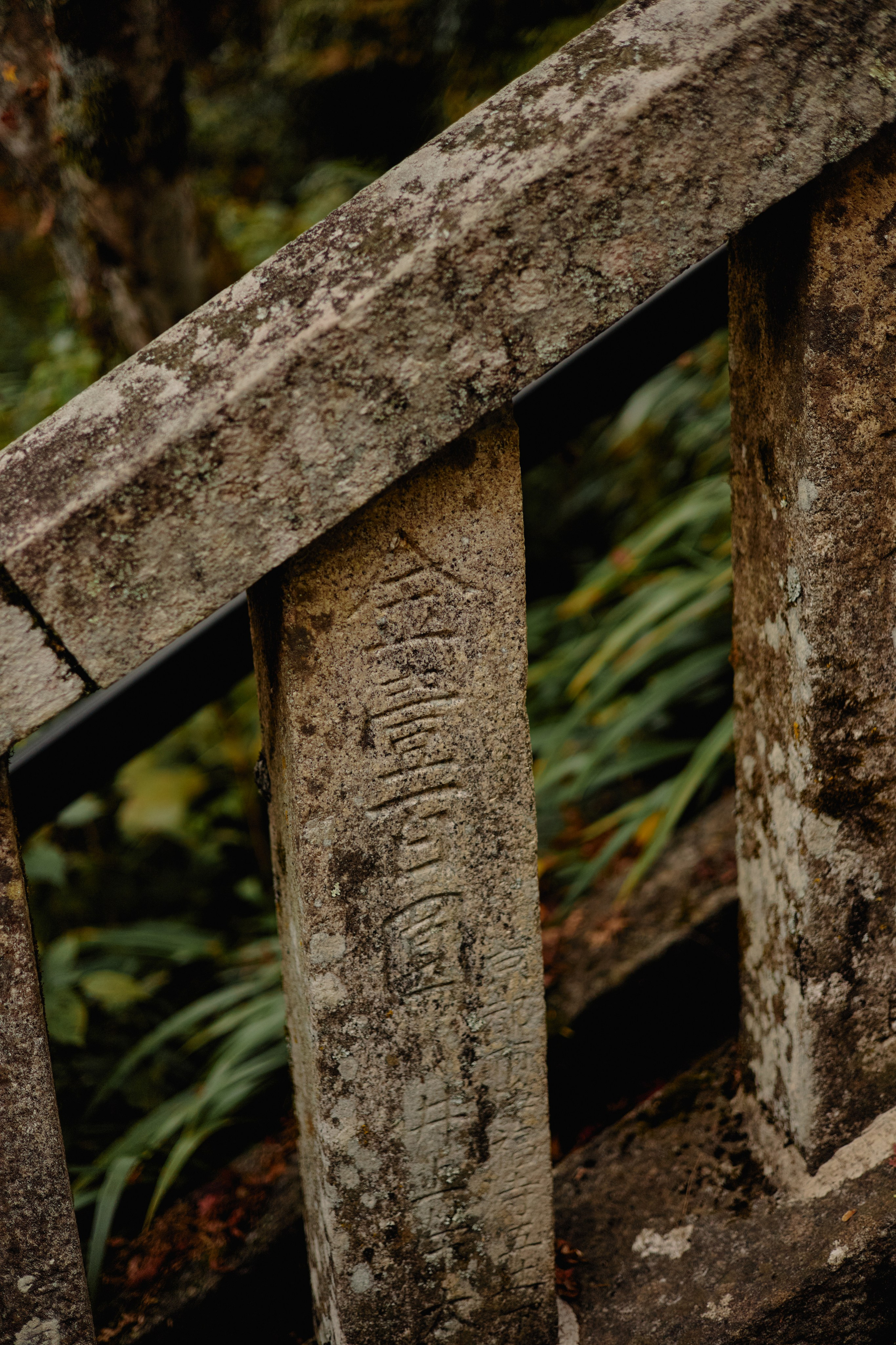 Япония. Профессиональный Фотограф во Владимире, в Москве и в Суздале — Полина Романычева