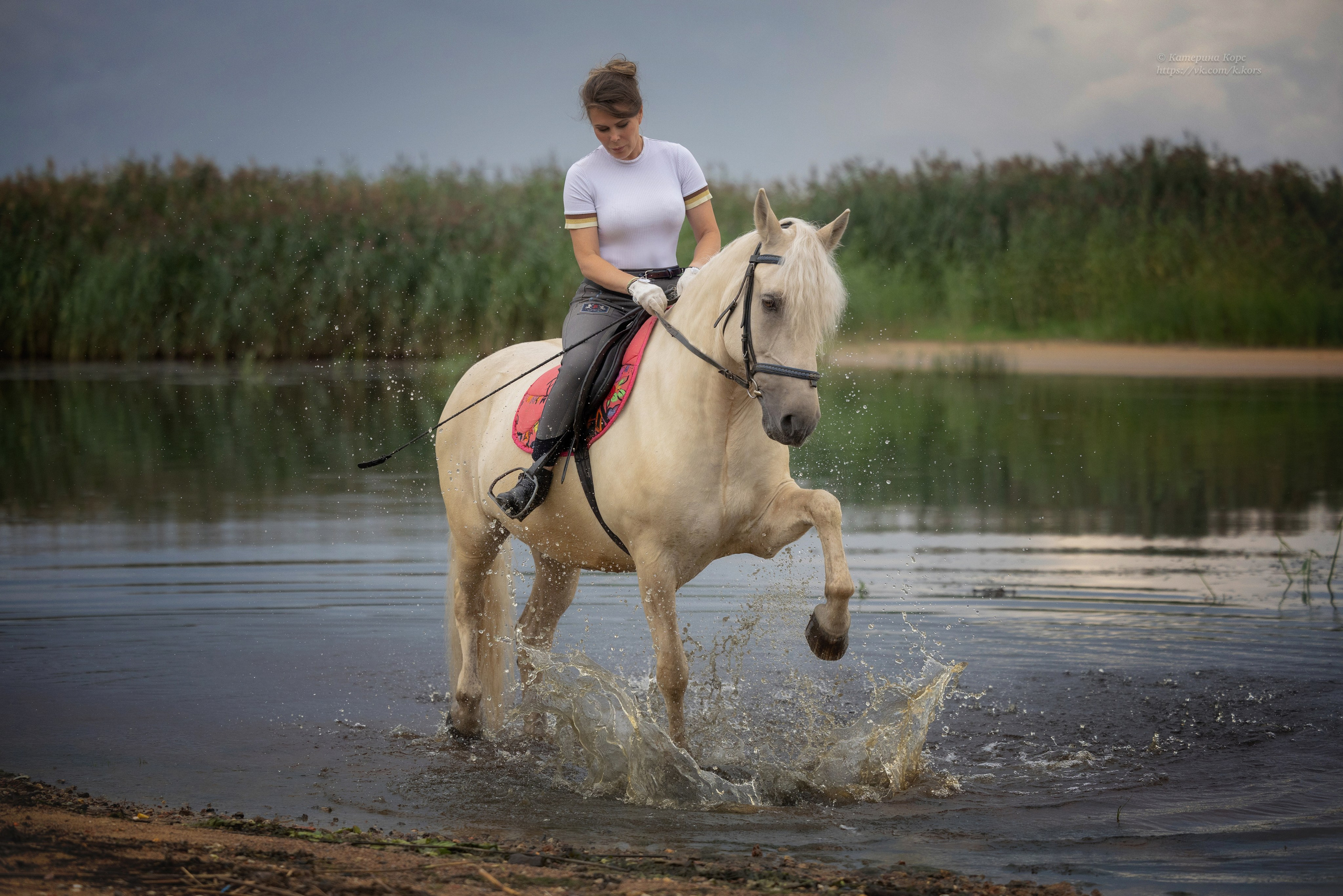 Лошади и люди. Главная