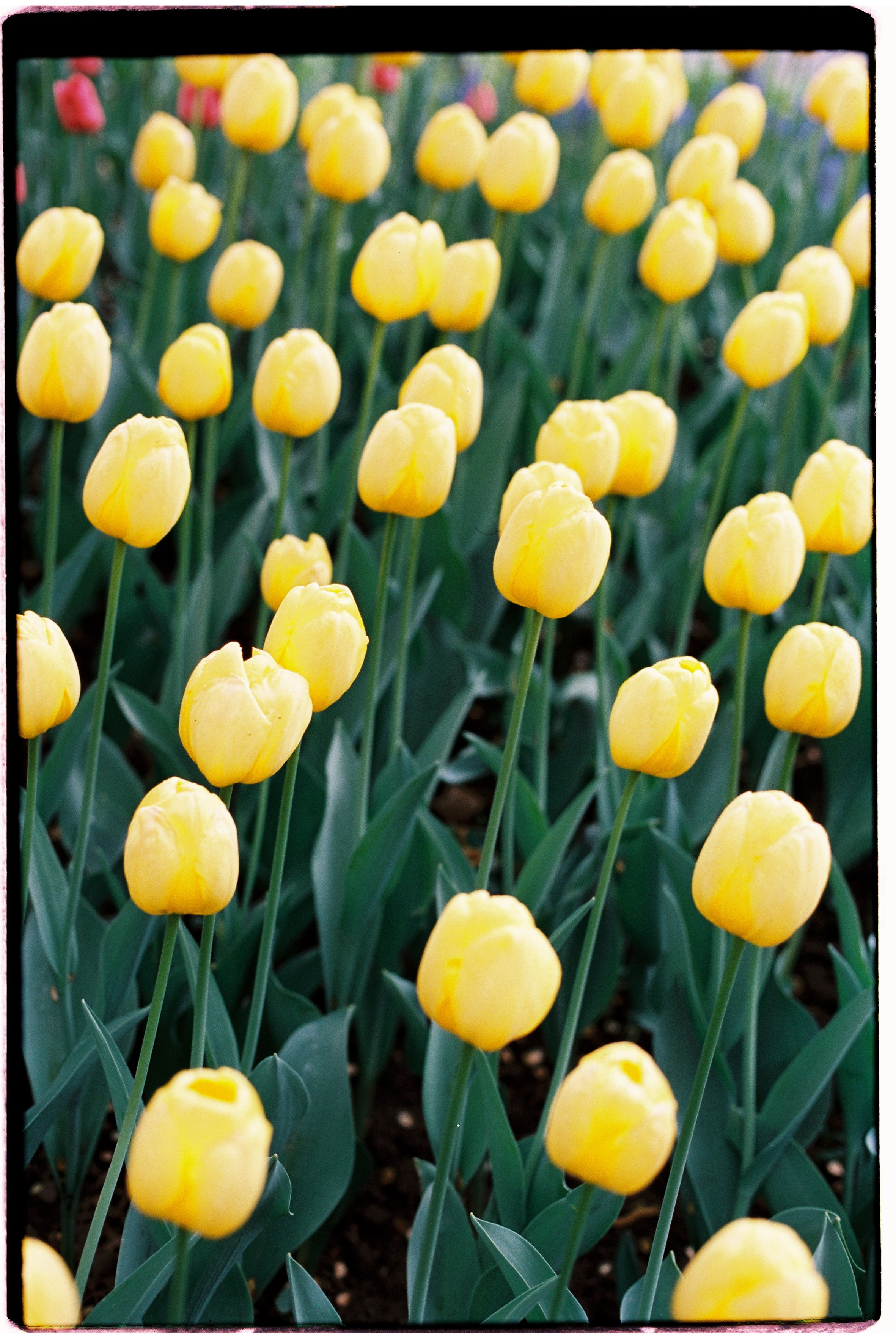 Almaty. Philipp Yelistratov