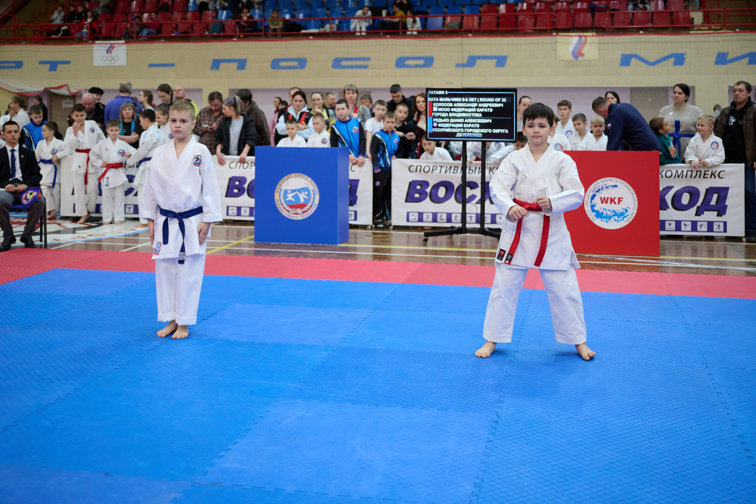 Чемпионат первенства Приморья по карате 28.03.26. Профессиональный репортажный фотограф Инесса Иминова