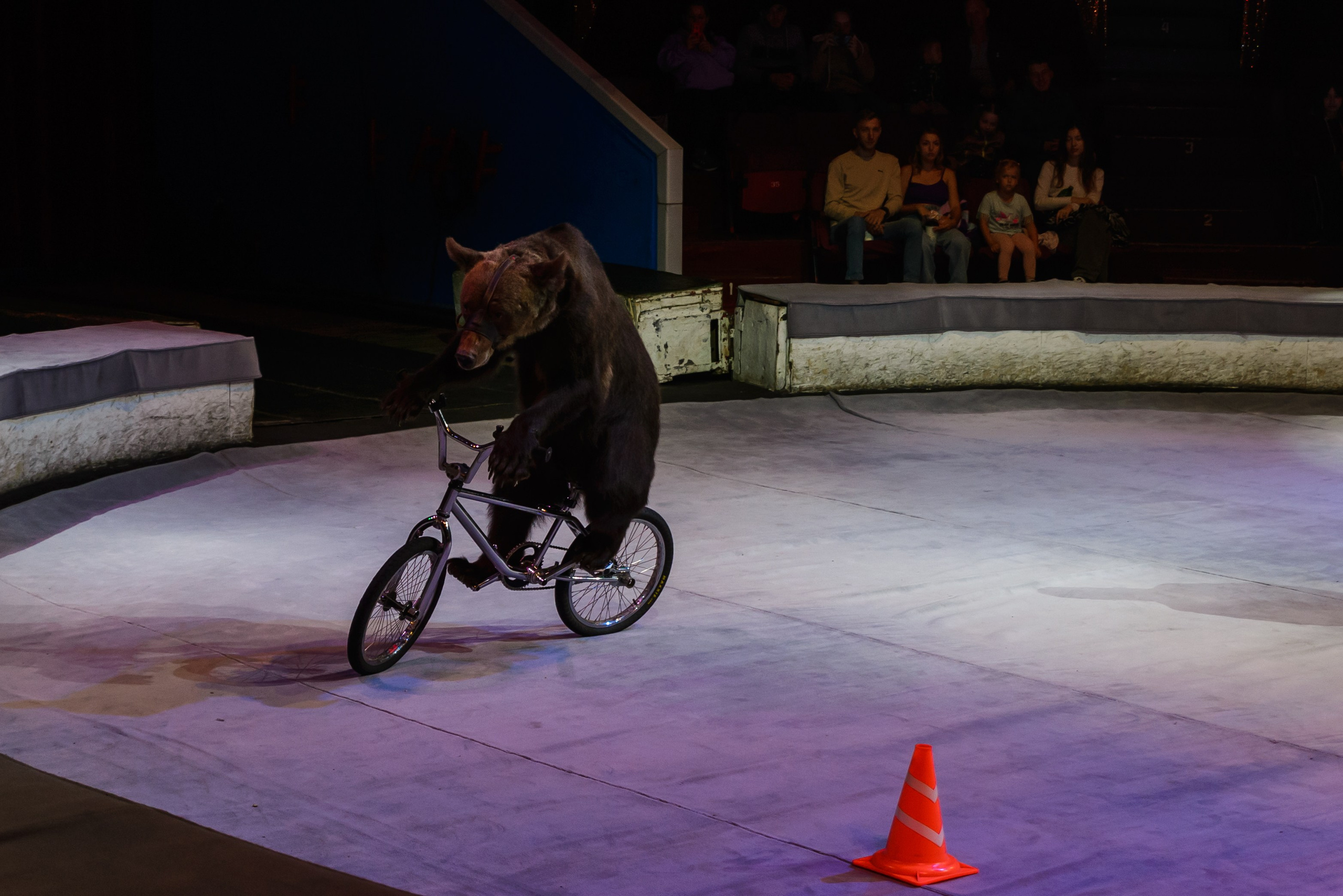 Пермский государственный цирк. Фотограф в Ханты-Мансийске Евгений Жуланов