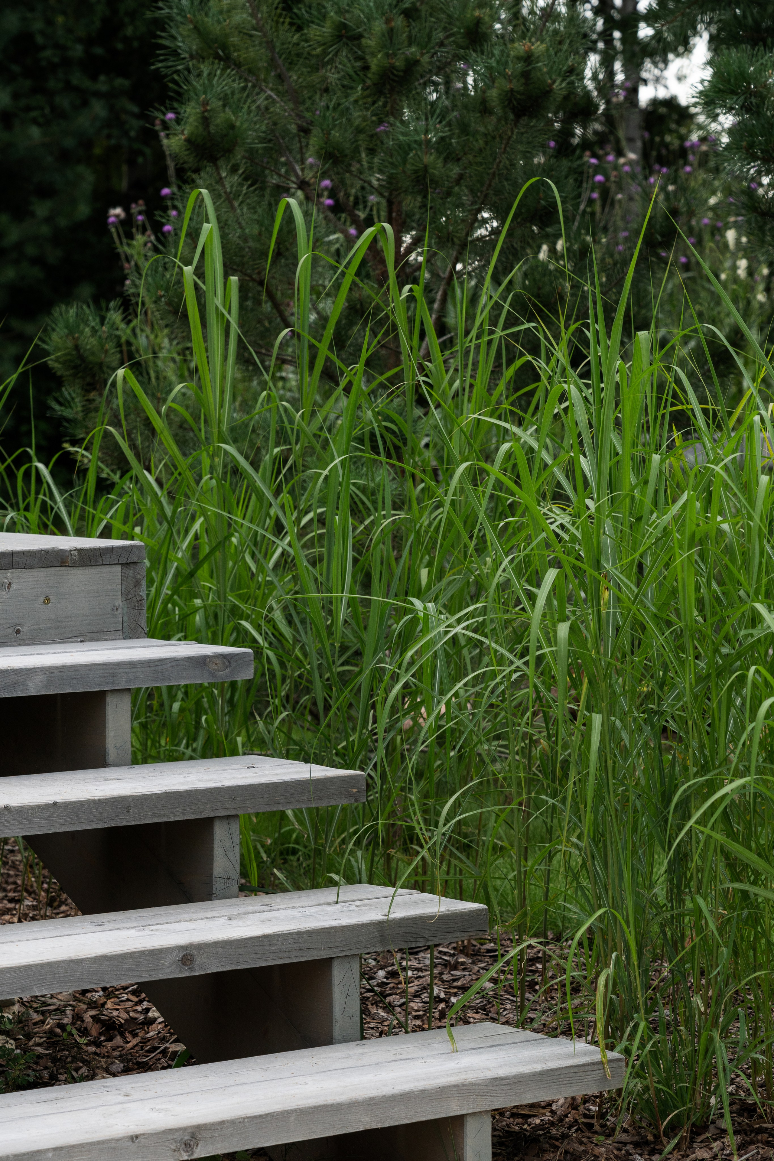 Private house, Tver region, Konakovo. Артамонов Александр | Архитектурный и ландшафтный фотограф
