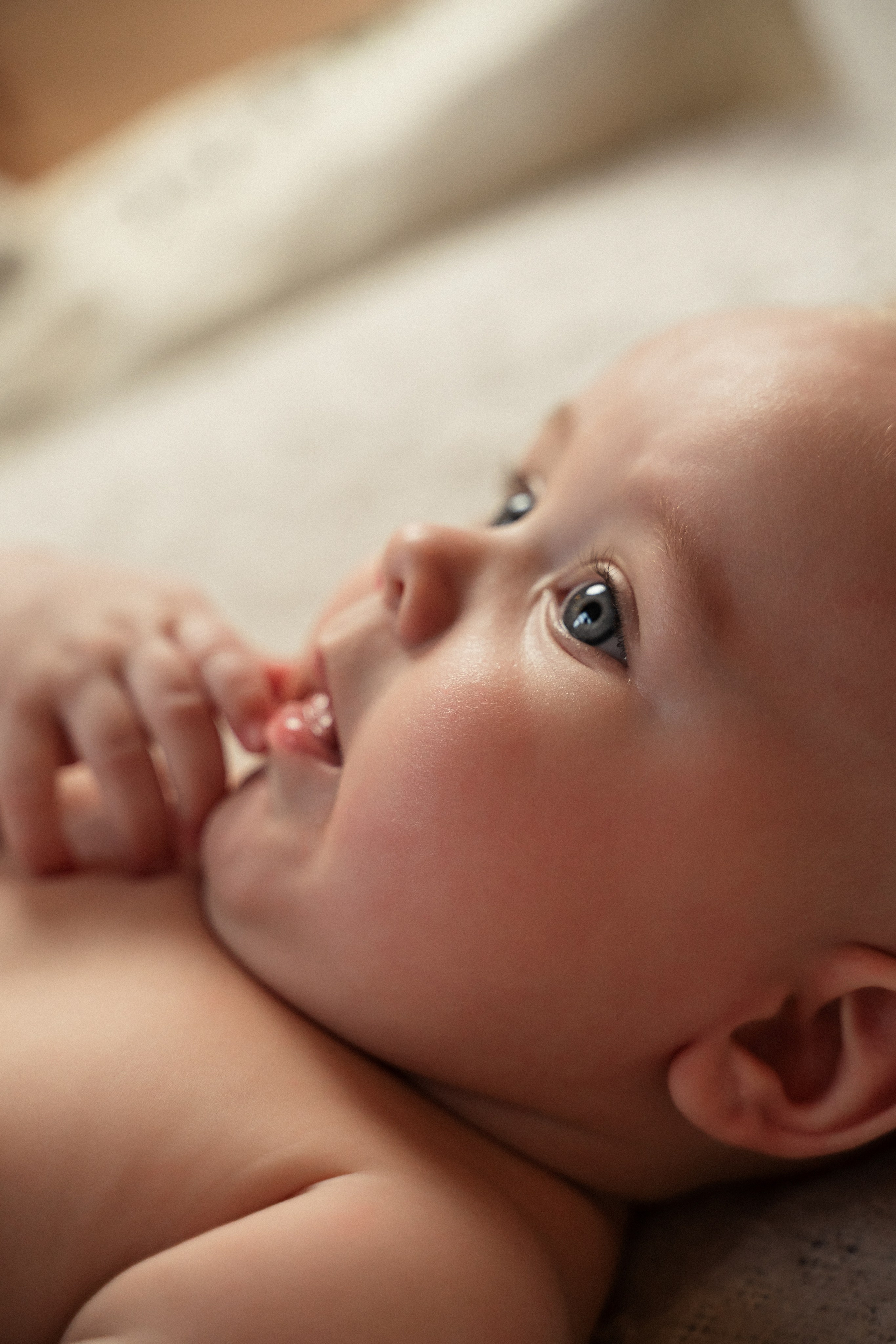 Семья Насоновых. Фотограф Алина Филимонова Тверь