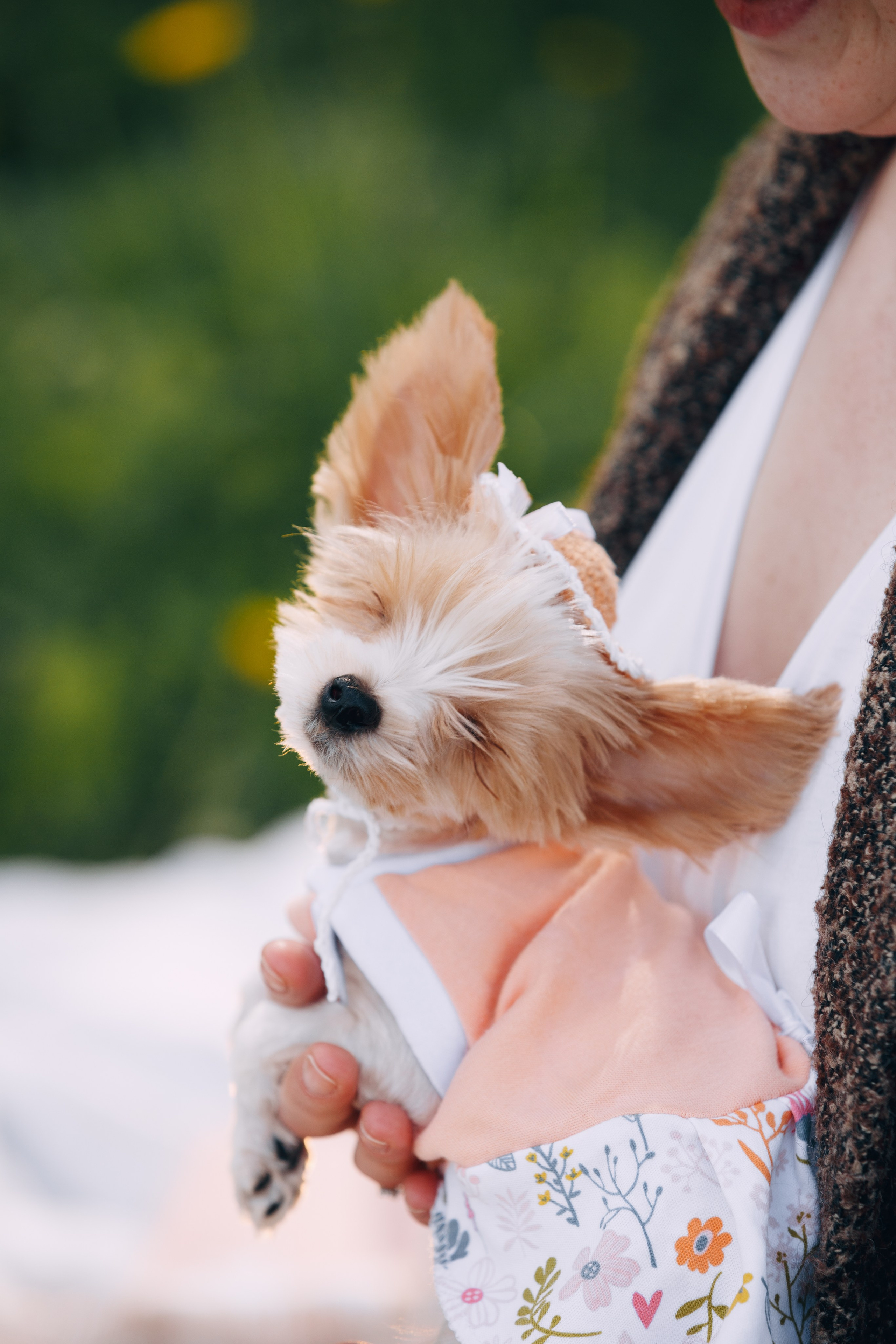 Оля, Патрик, Мейли и Джонни. Фотограф анималист Кристина Карпова, Москва