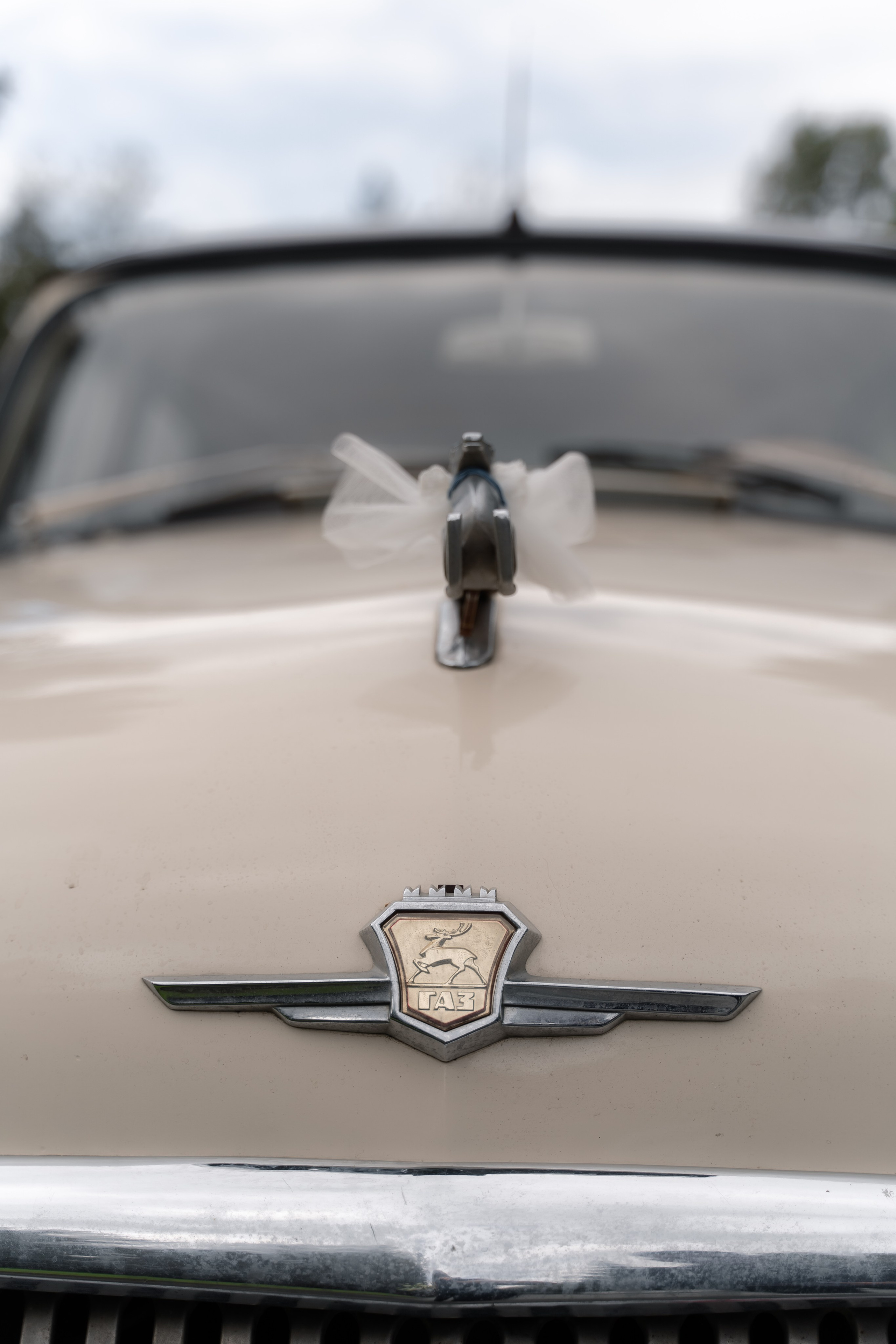 Рустам и Настя. Свадебный и семейный фотограф в Новосибирске Наталья Зорина