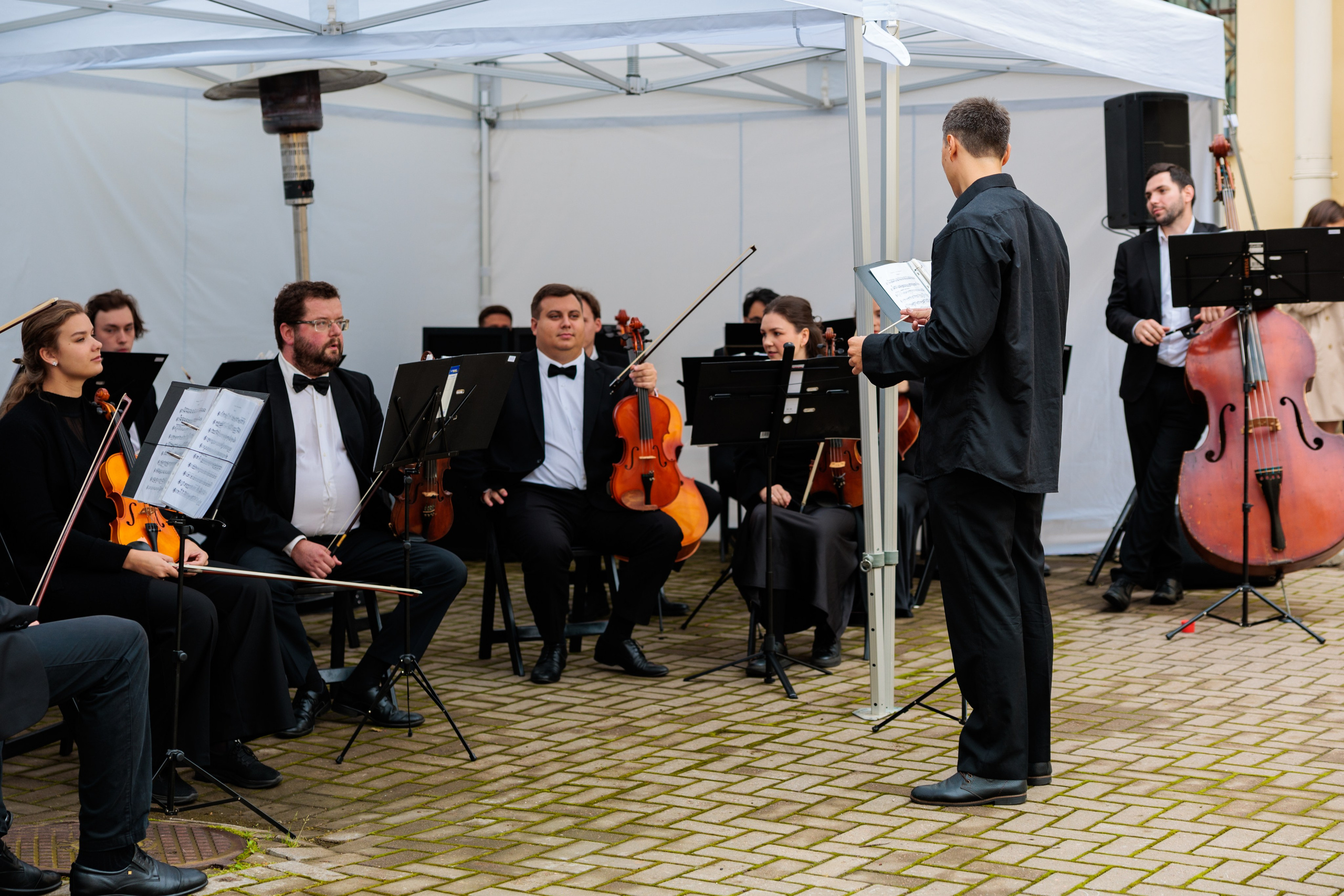 Концерт малого симфонического оркестра. Репортажный фотограф Санкт-Петербург | Роман Карбышев