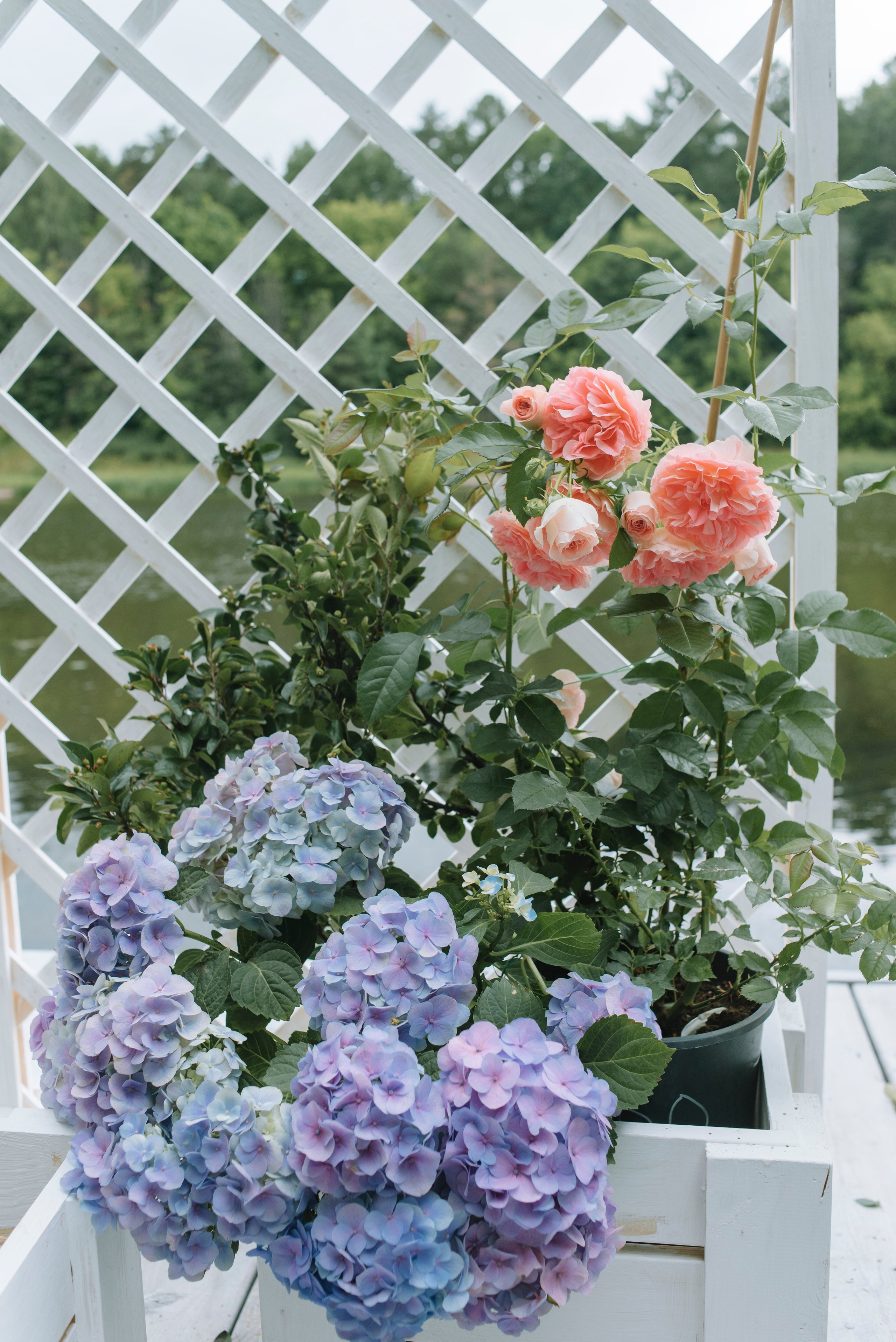 Ресторан Причал. Оформление свадеб, декор свадеб Вера Маркова, Москва