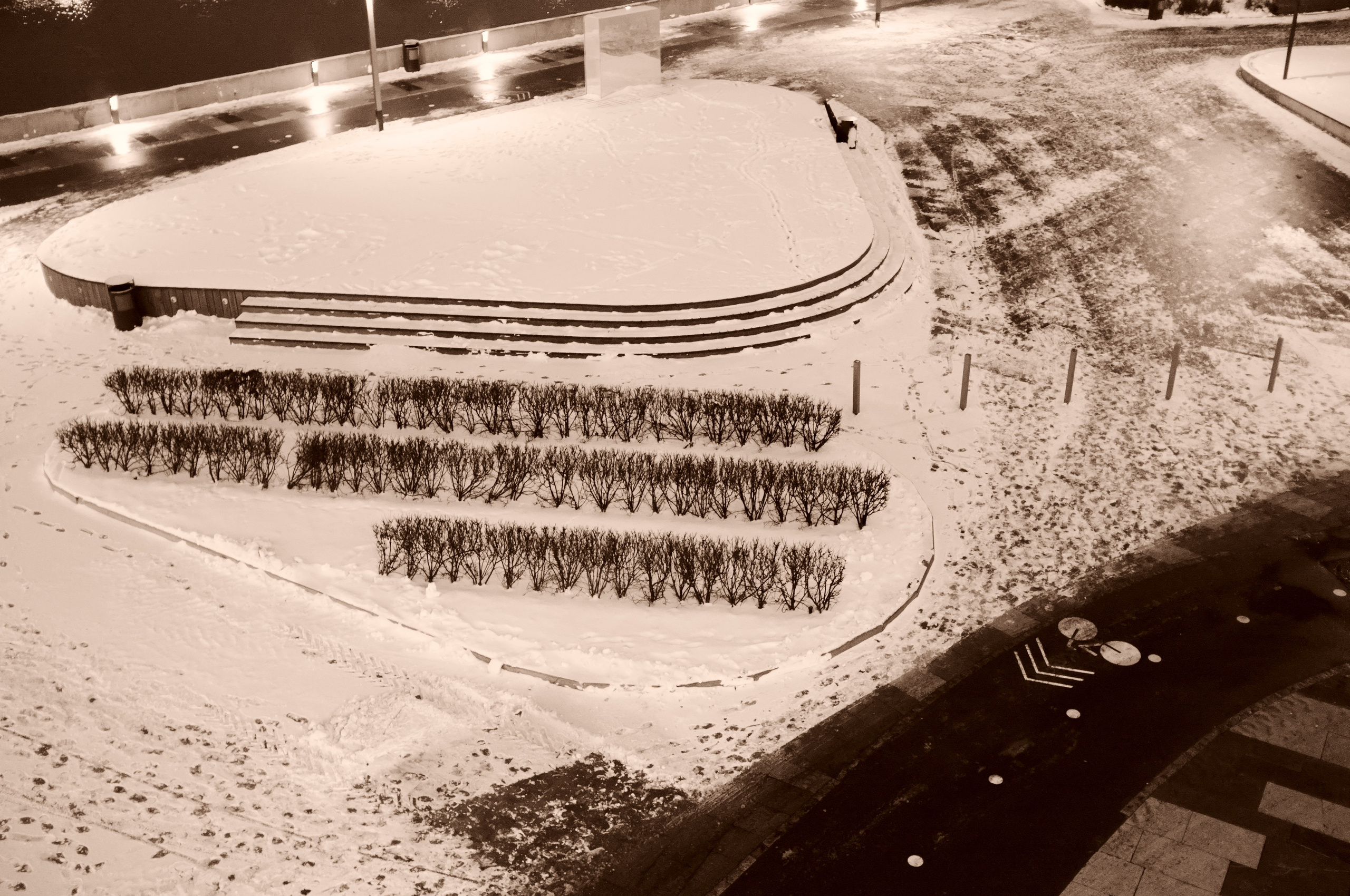 Черно-белое. Миша Печёнкин | фотография