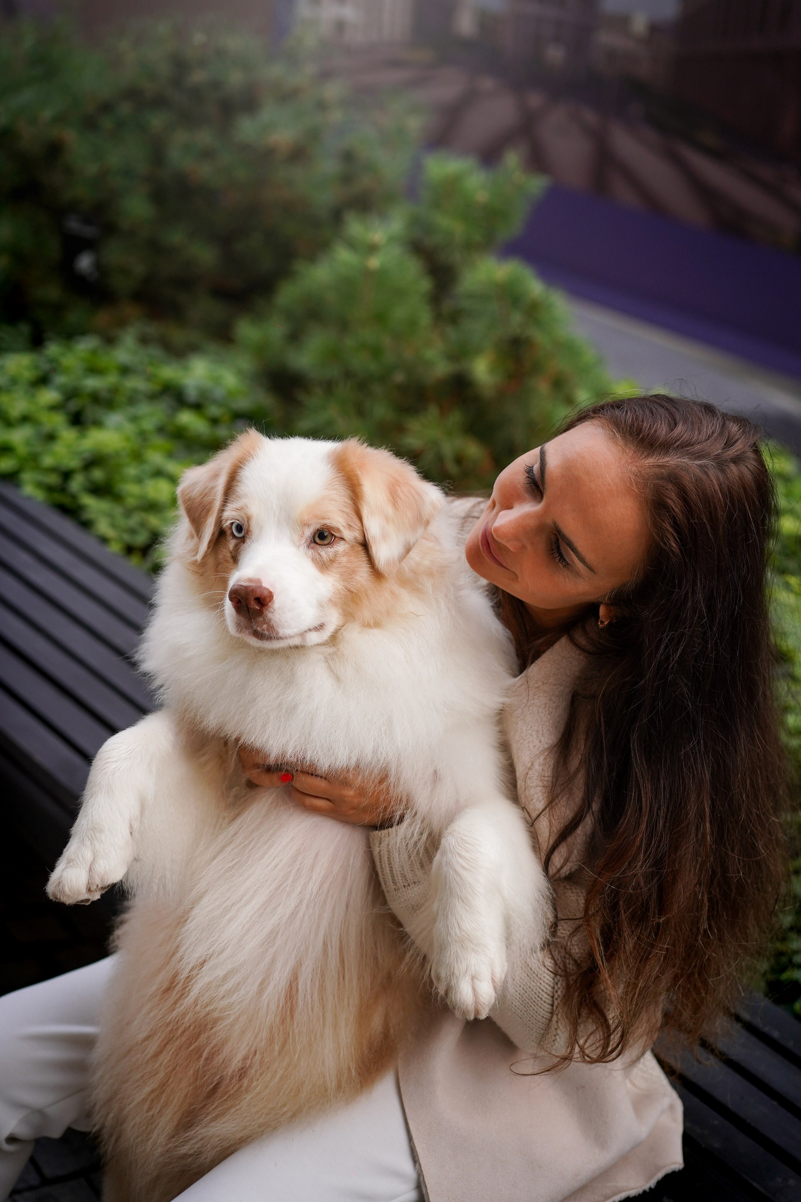 Кристина Катя Гермиона и Бэст. Фотограф-анималист в Санкт-Петербурге Яна Мартынова