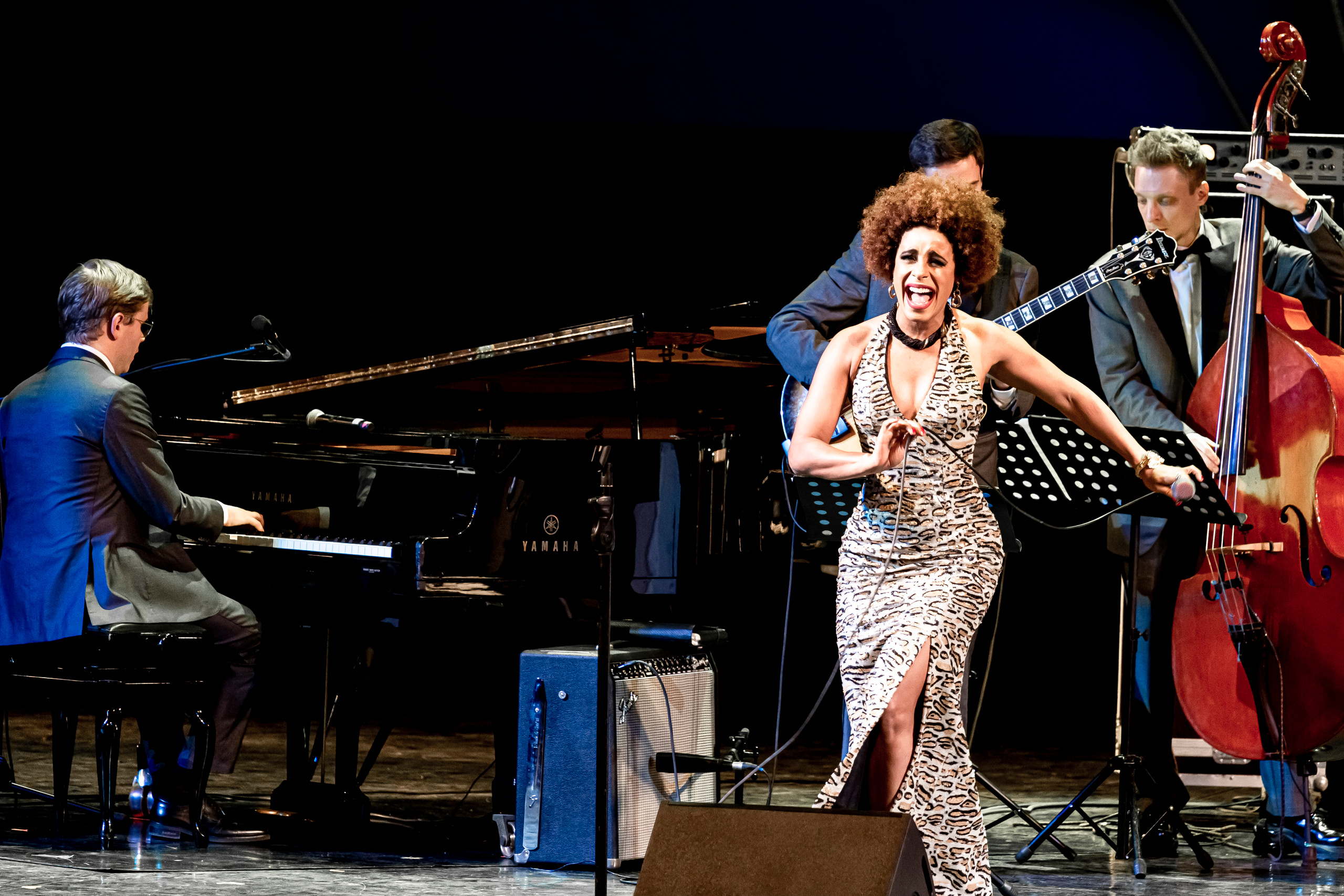 СТОЛЕТИЕ РУССКОГО ДЖАЗА галаконцерт в Зимнем театре г. Сочи. Фотограф в Сочи Юрий Шептаев