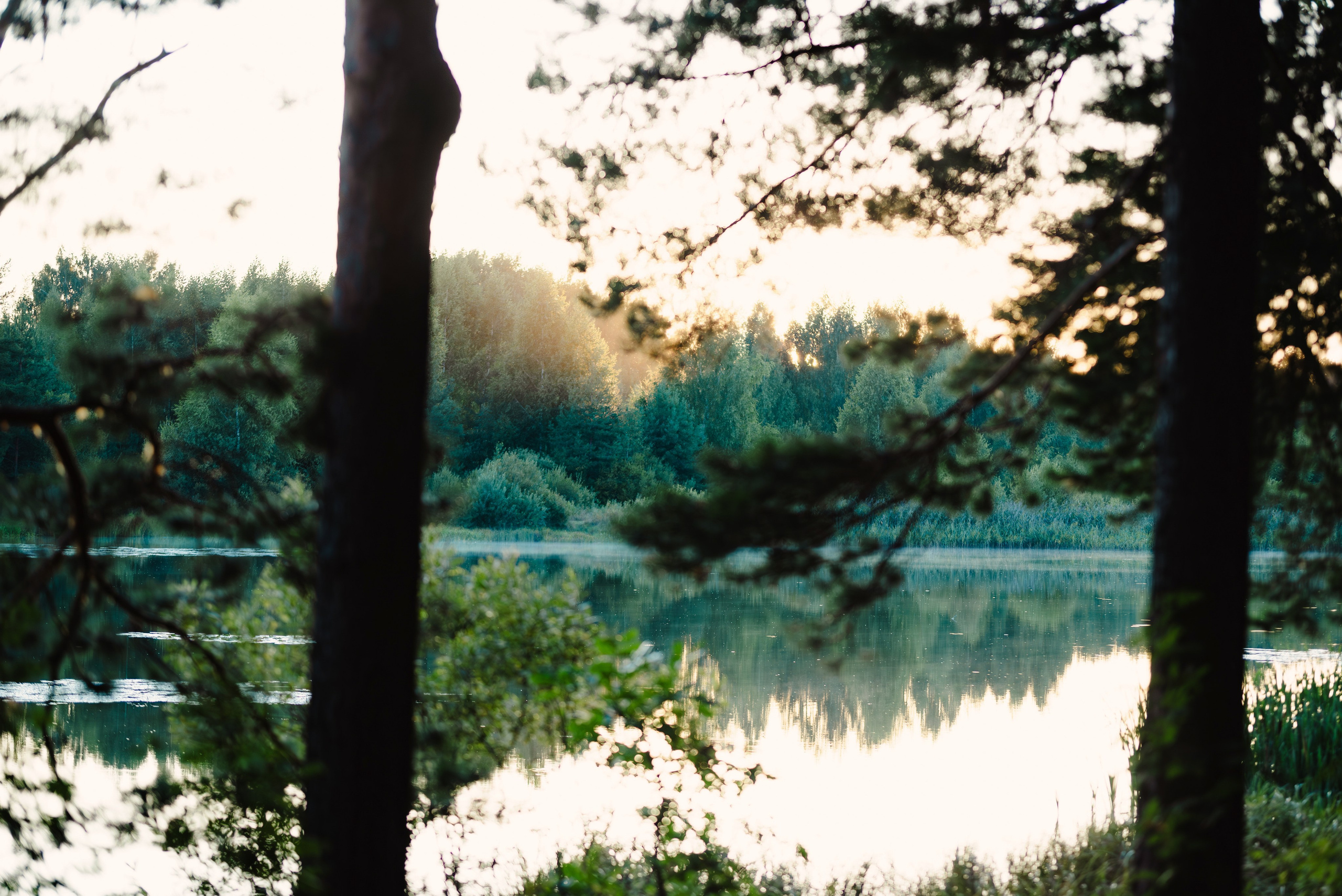 Лето. Фотограф в Ветлуге Сергей Белов (VETLUGA B.S.)