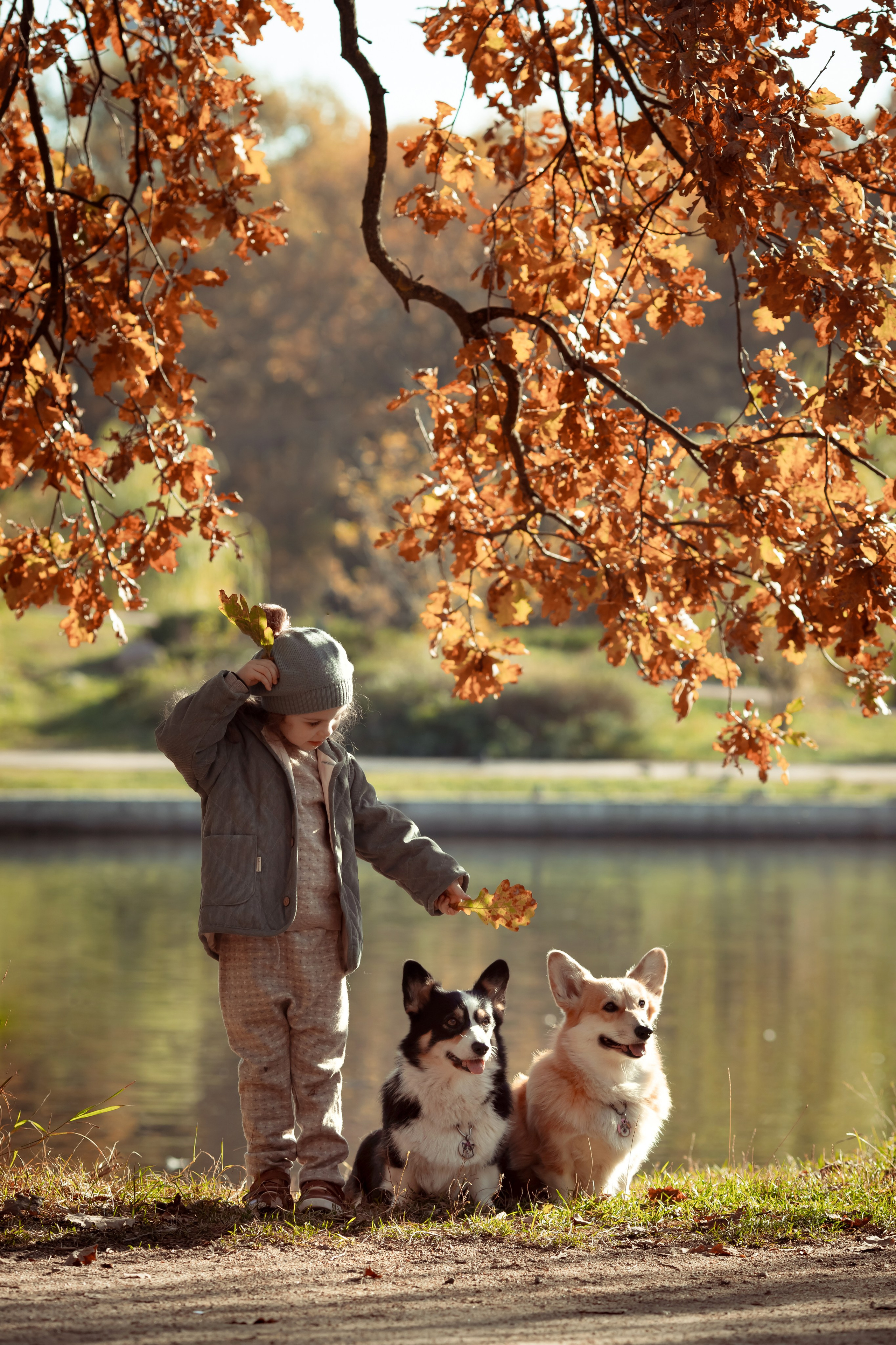 Эва с корги. Семейный и детский фотограф в Москве Дорогова Екатерина