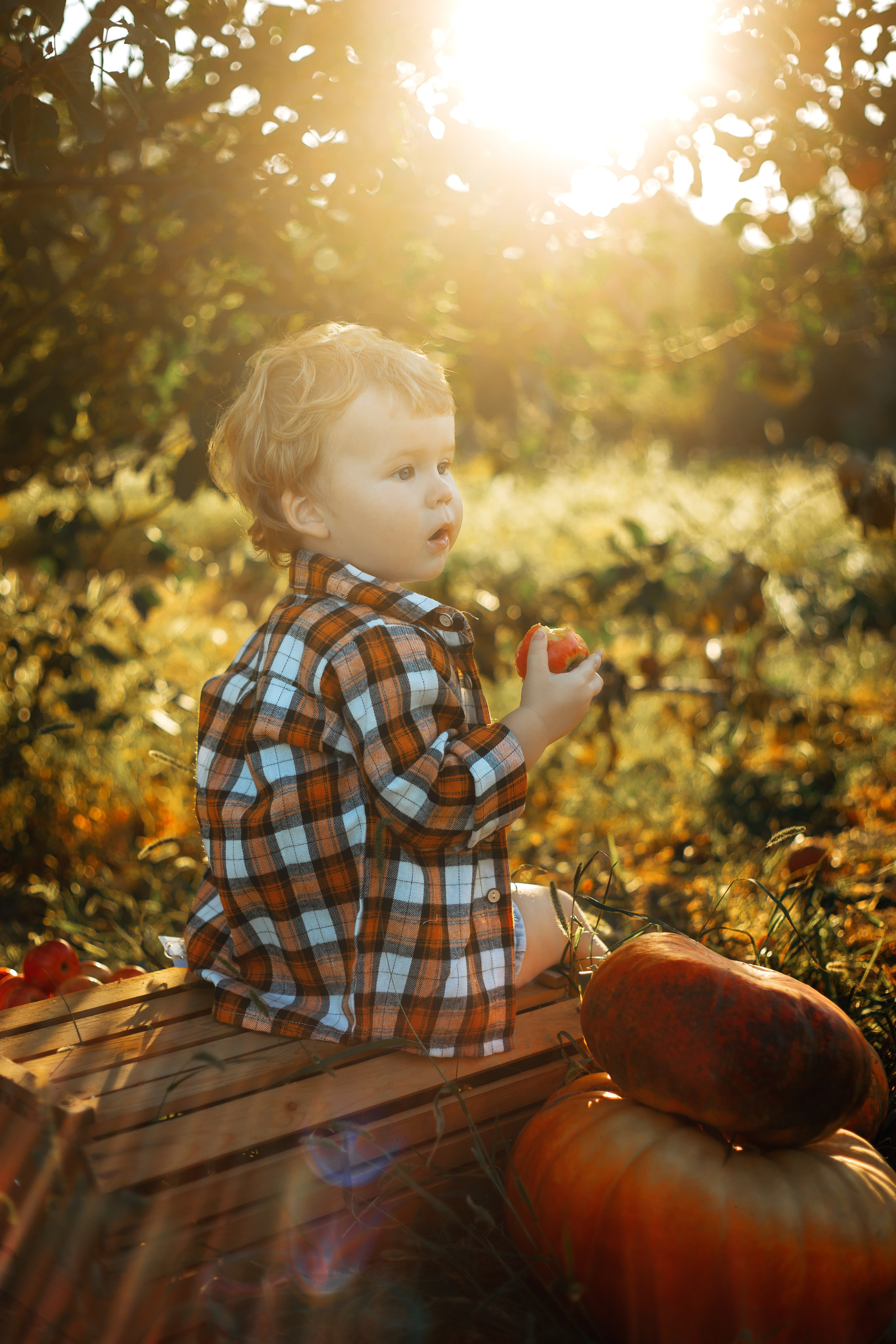 Фотосессия детская с тыквами. Свадебный и семейный фотограф в Краснодарском крае Мария Данилкина