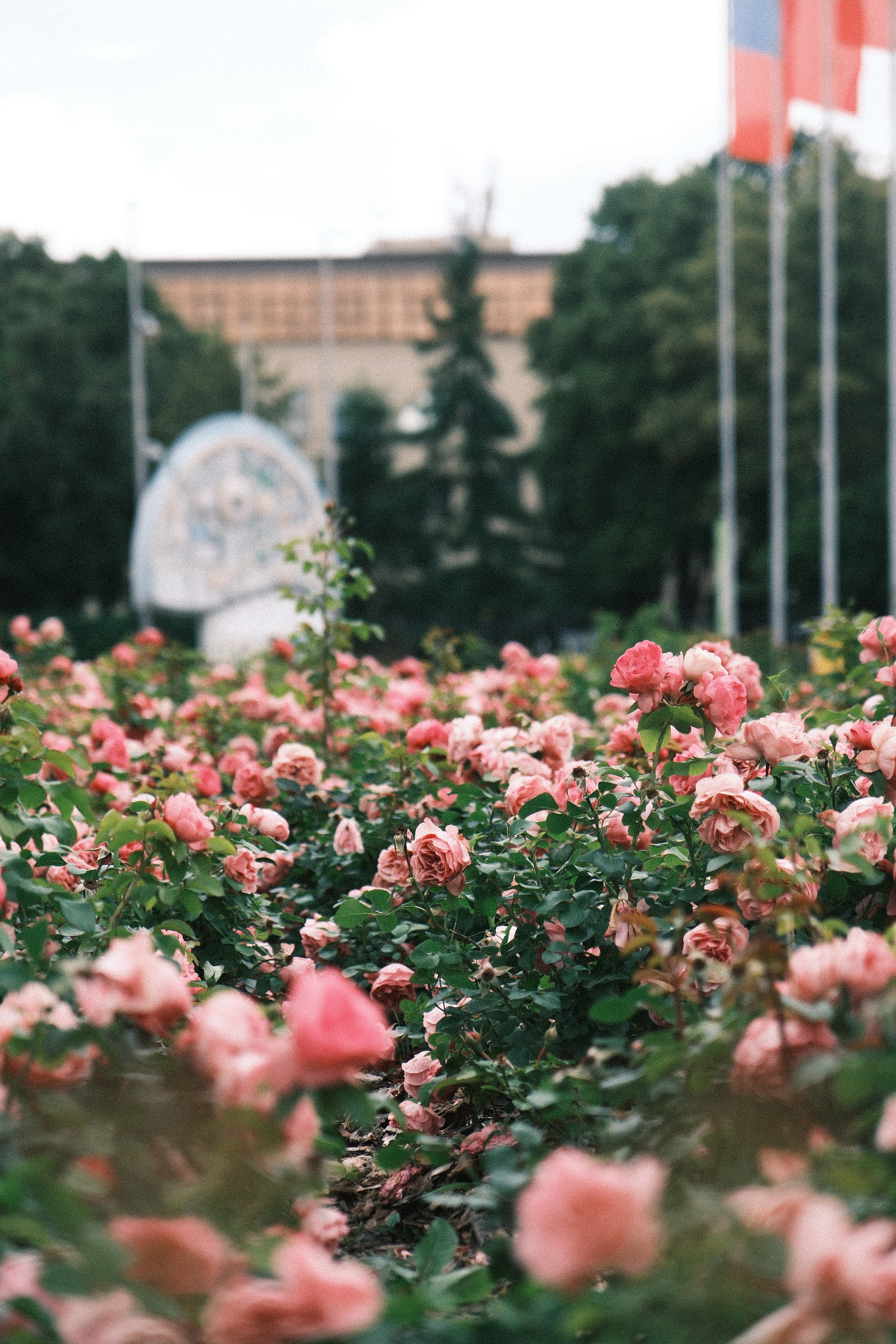 Moscow Selection. M. Neizvestniy — уличная и спортивная фотография