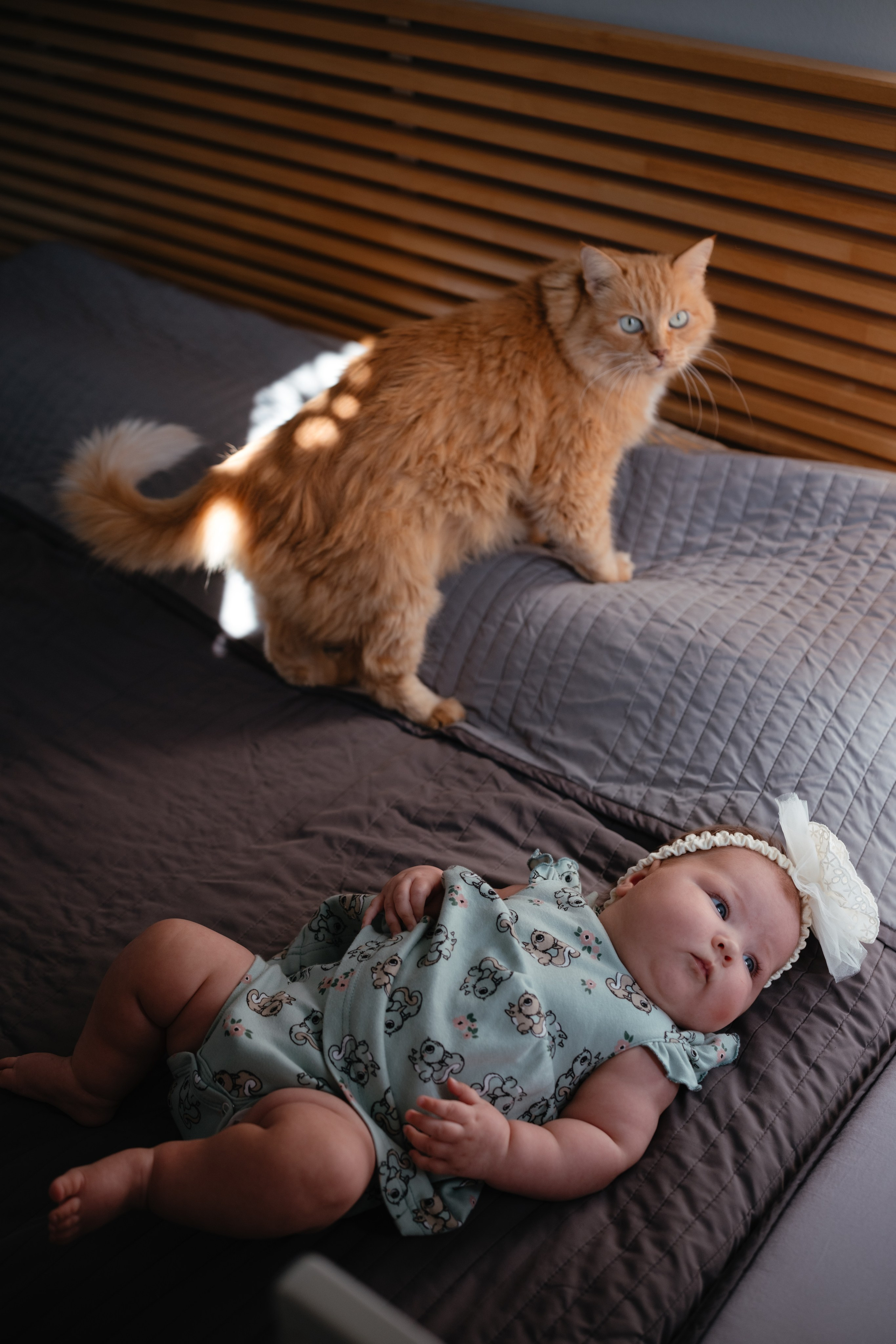 Алиса дома с мамой, братом и котом. Семейный детский ньюборн фотограф в Москве Марта Петрова