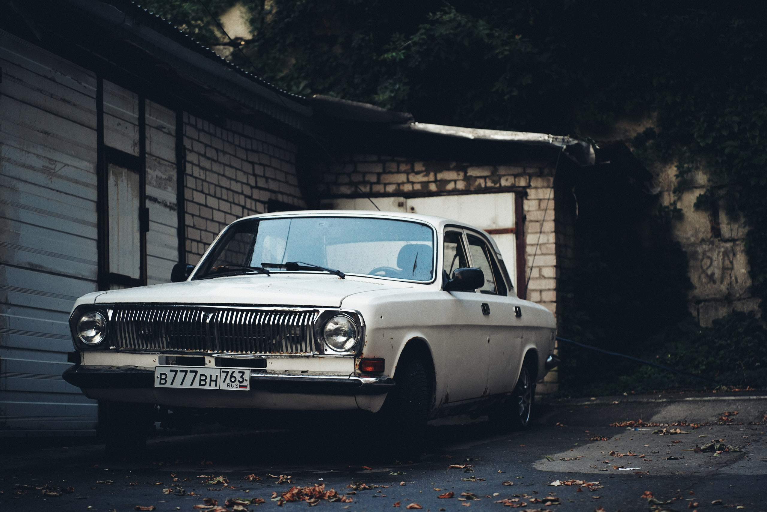 Авто-фотография. Pupov.png