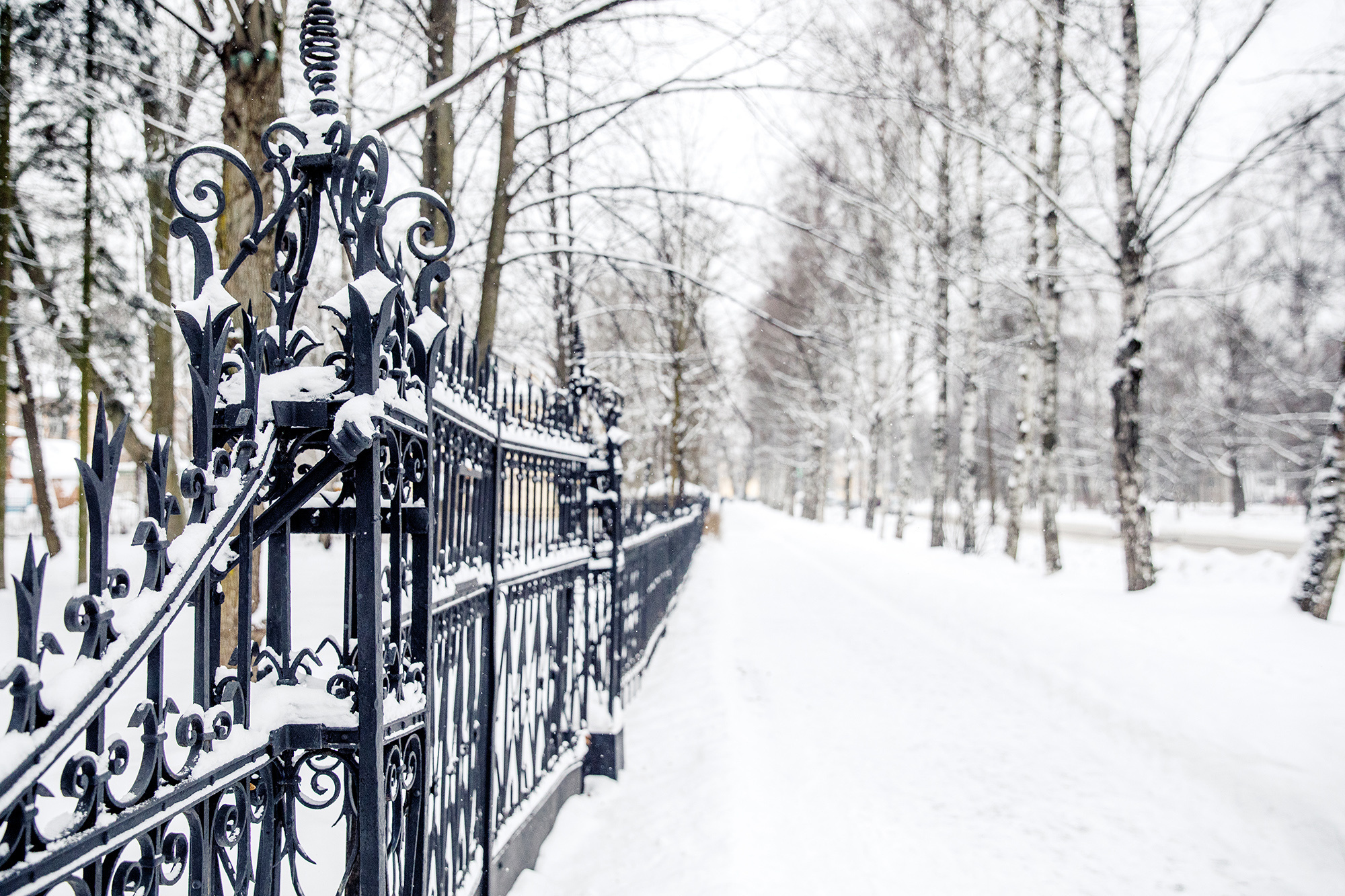 Kirill & Julia. Свадебный фотограф  Байжанов Марат
