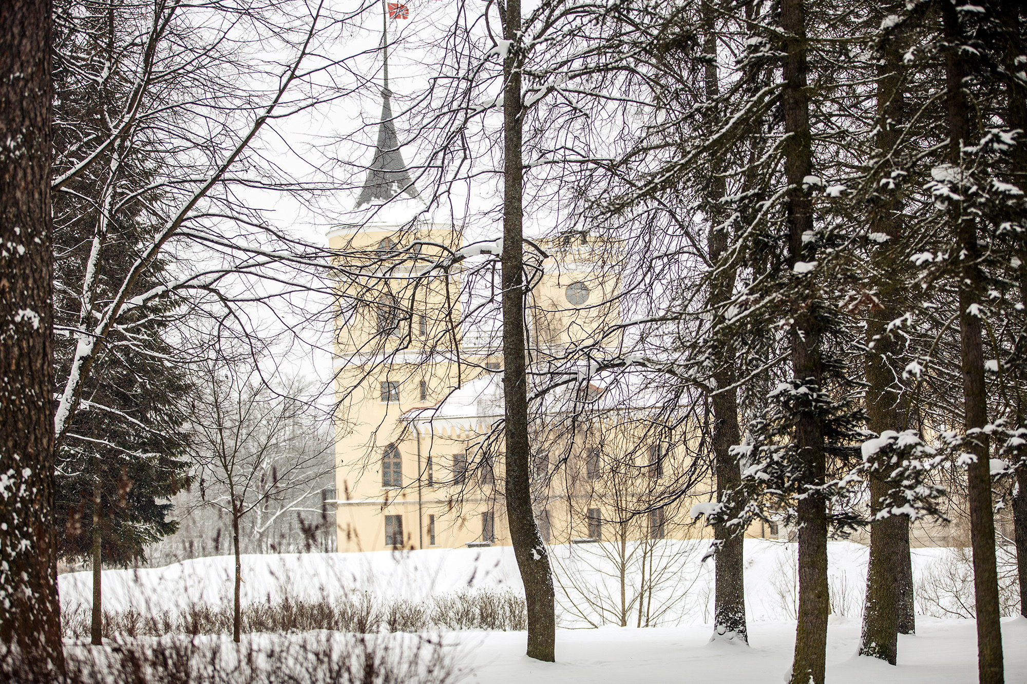 Kirill & Julia. Свадебный фотограф  Байжанов Марат