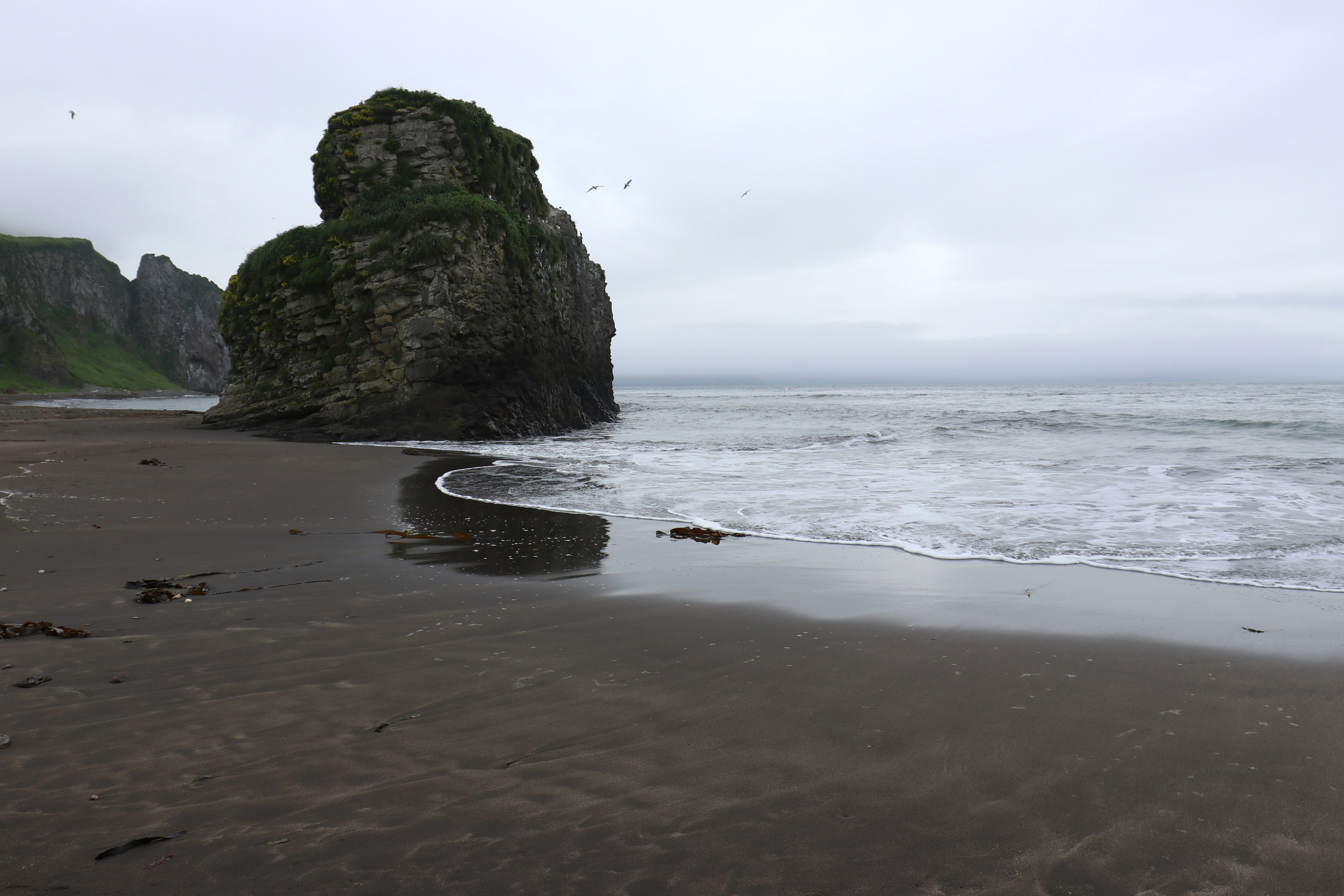 Камчатка и о. Парамушир. Июль 2024. Путешественник-фотограф из Санкт-Петербурга Татьяна Свистулина