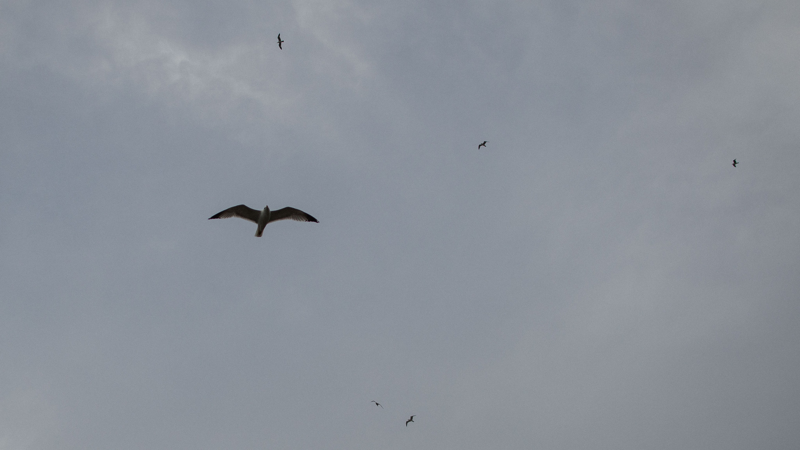 Катя и Каан | Стамбул. Свадебный и женский фотограф в Ставрополе Вика Лексеева