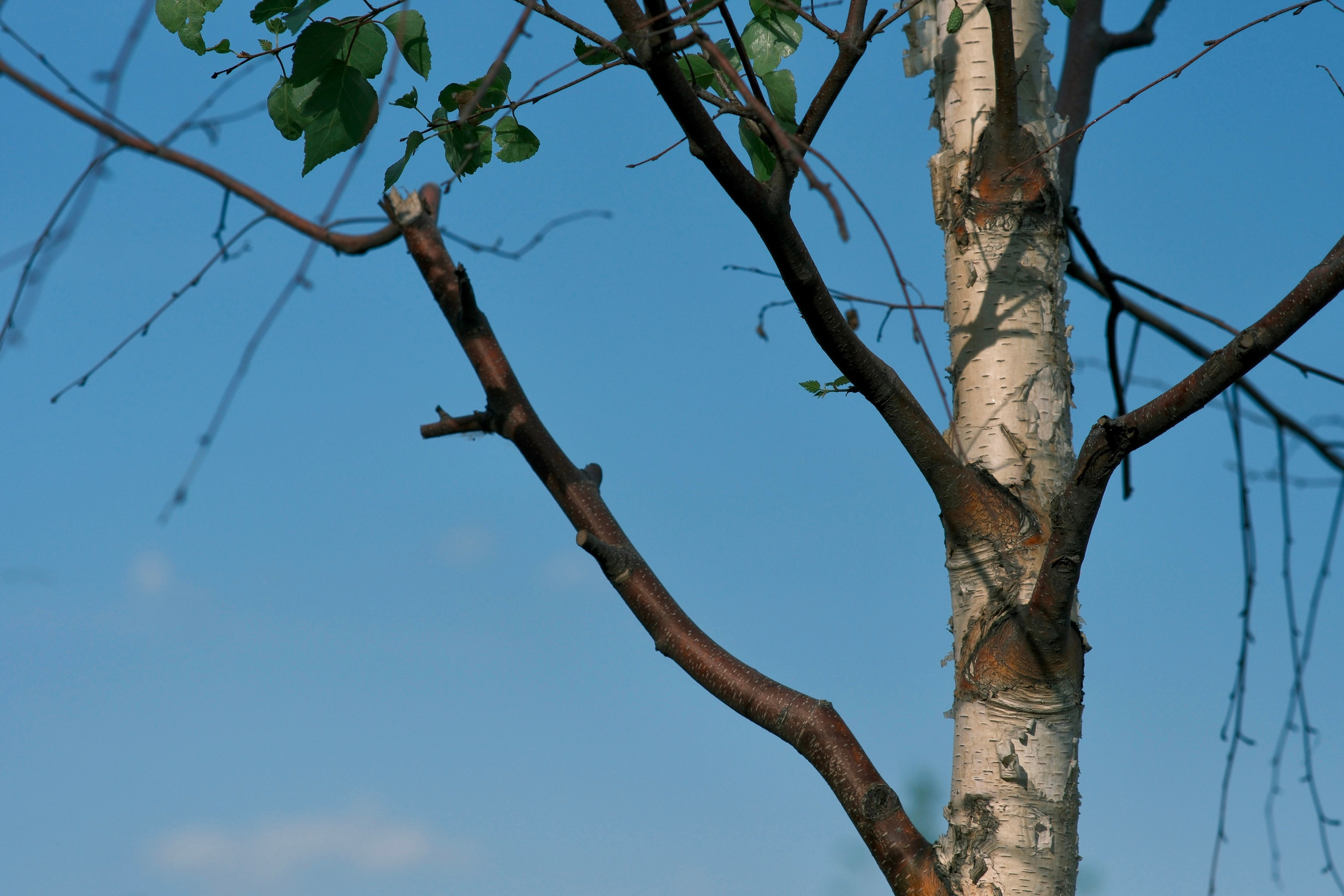 Фотограф Москва. Фотограф и художник в Москве Евгения Нюнина