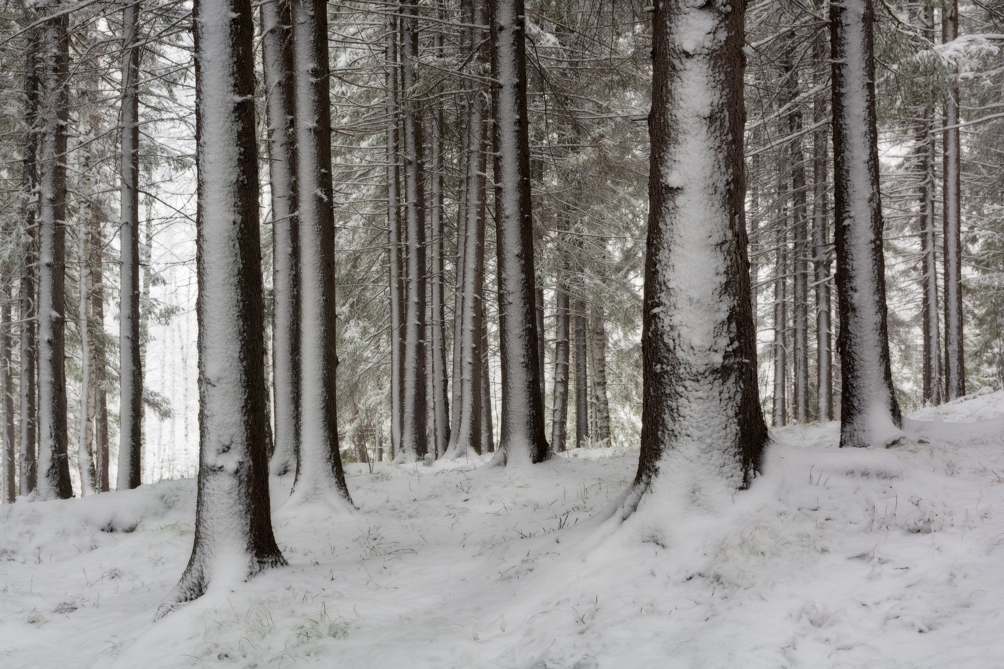 Весенние пейзажи Черноисточинска | Фотограф Николай Обухов
